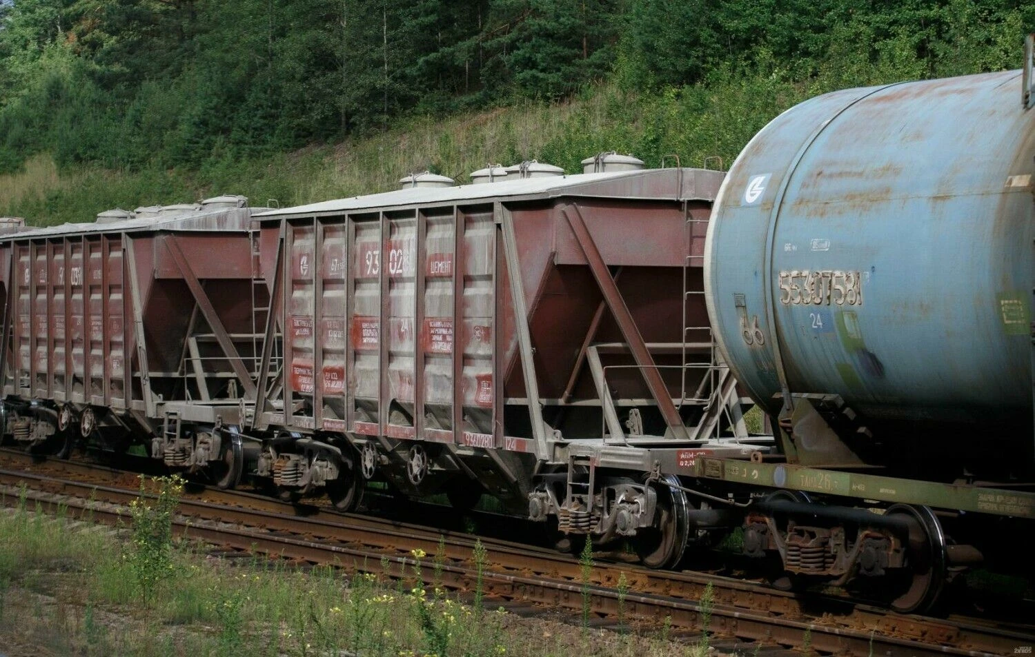 Lietuvos geležinkeliai. Juditos Grigelytės (VŽ) nuotr.