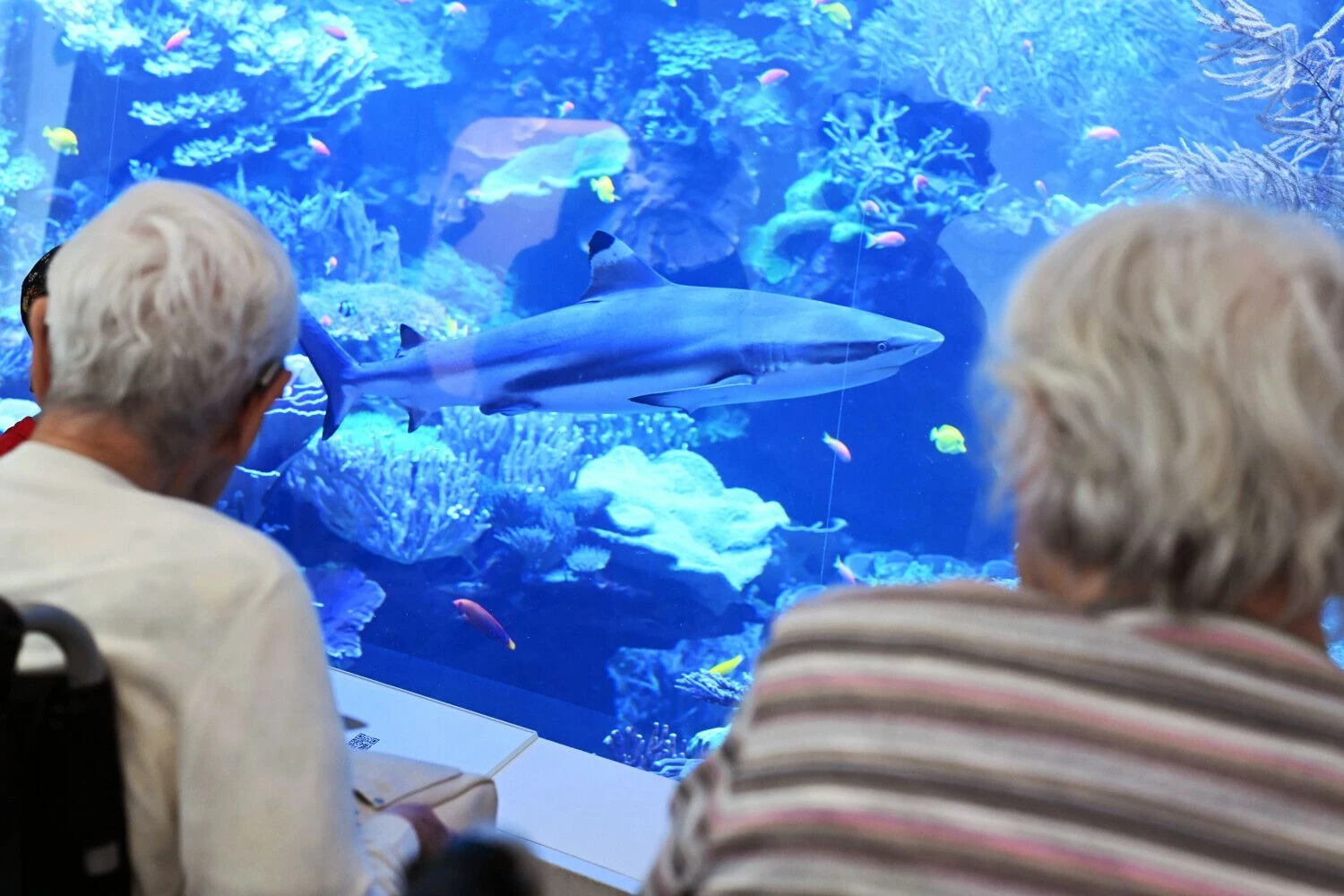 Uli Deck (dpa / „Scanpix“) nuotr.