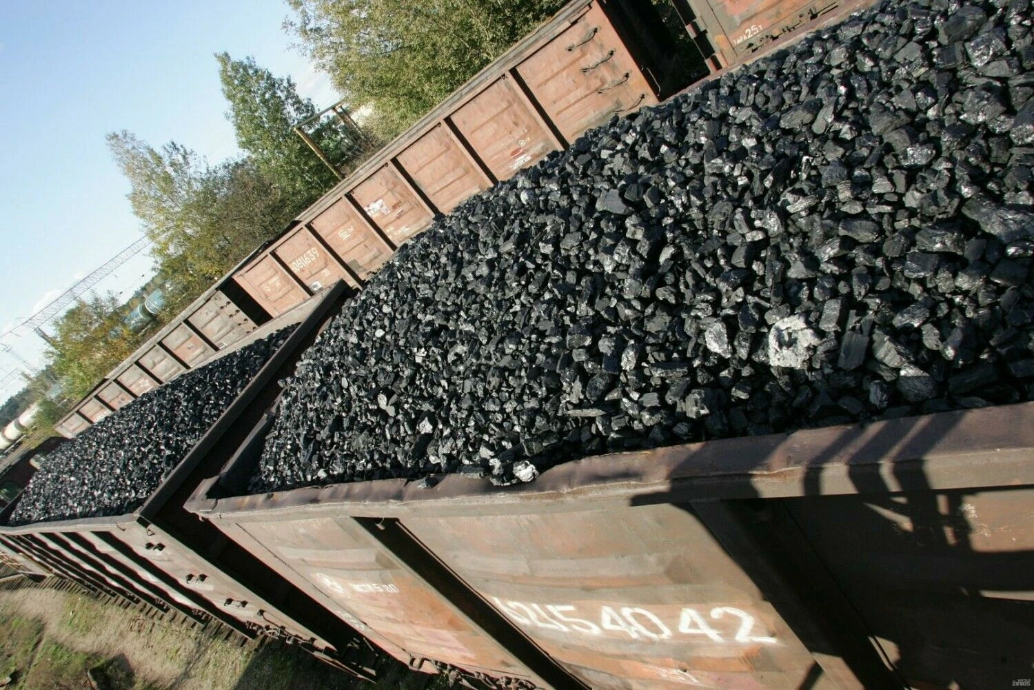 Violetos Bubelytės nuotr.