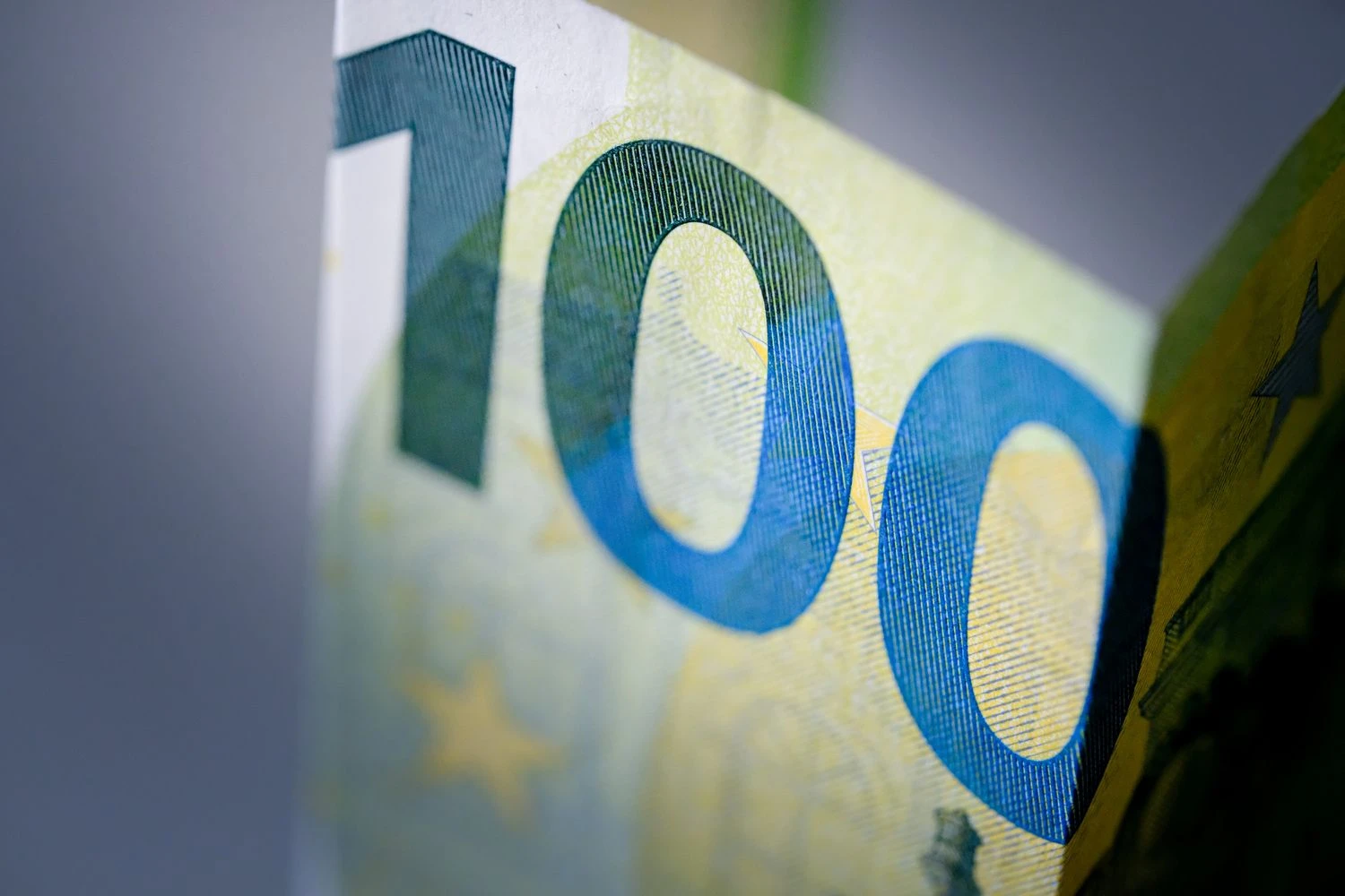 Vladimiro Ivanovo (VŽ) nuotr.