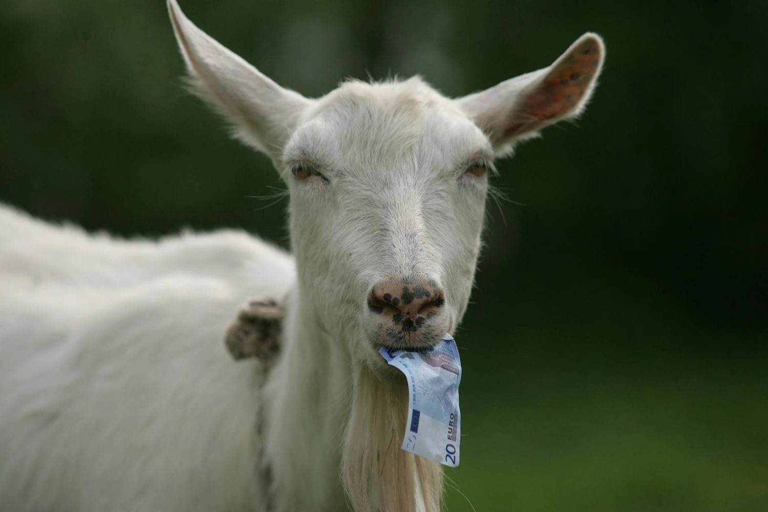 Juditos Grigelytės (VŽ) nuotr.