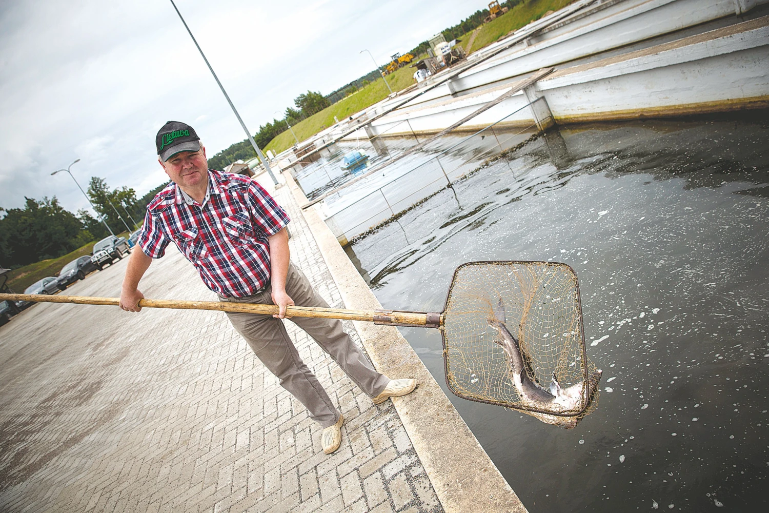 Algirdas Šiukščius, bendrovės „Vasaknos“ direktorius: „Vienas iš firminių parduotuvių pranašumų – čia pateikiama šviežiausia produkcija.“
VLADIMIRO IVANOVO (VŽ) NUOTR.