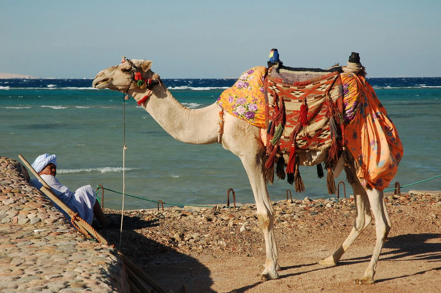 Egiptas, Hurgados vaizdai. Aušros Barysienės nuotr.