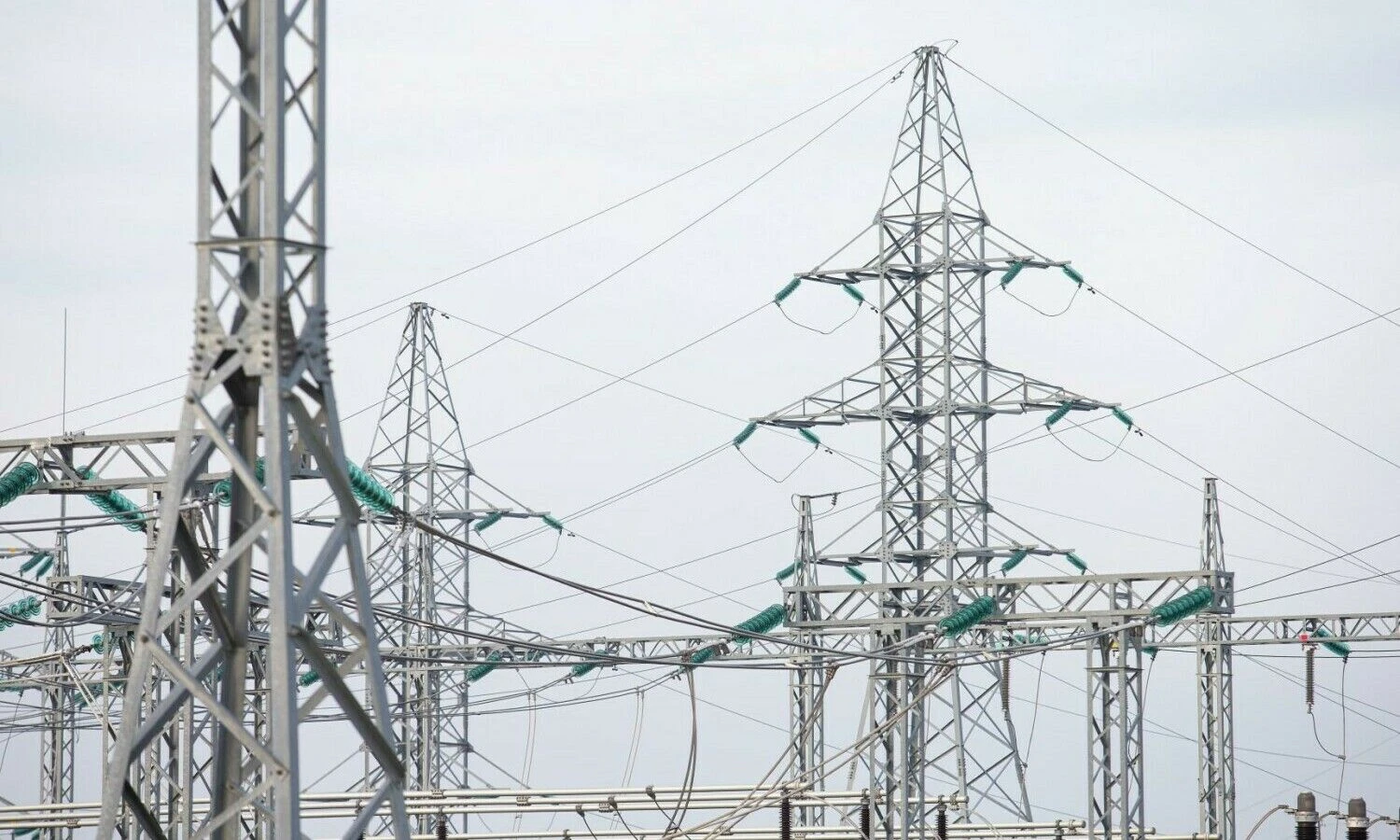 Juditos Grigelytės (VŽ) nuotr.