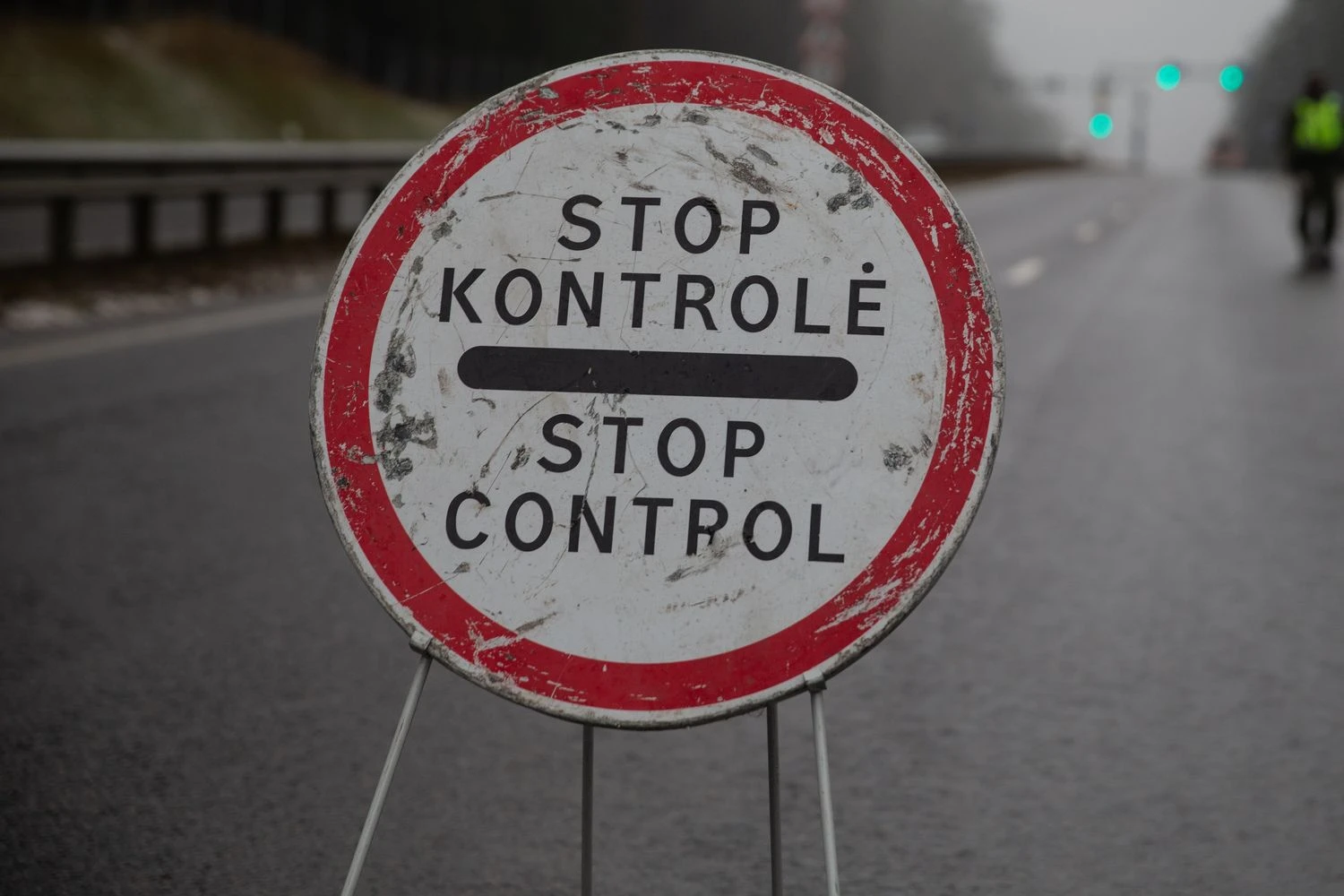 Vladimiro Ivanovo (VŽ) nuotr.