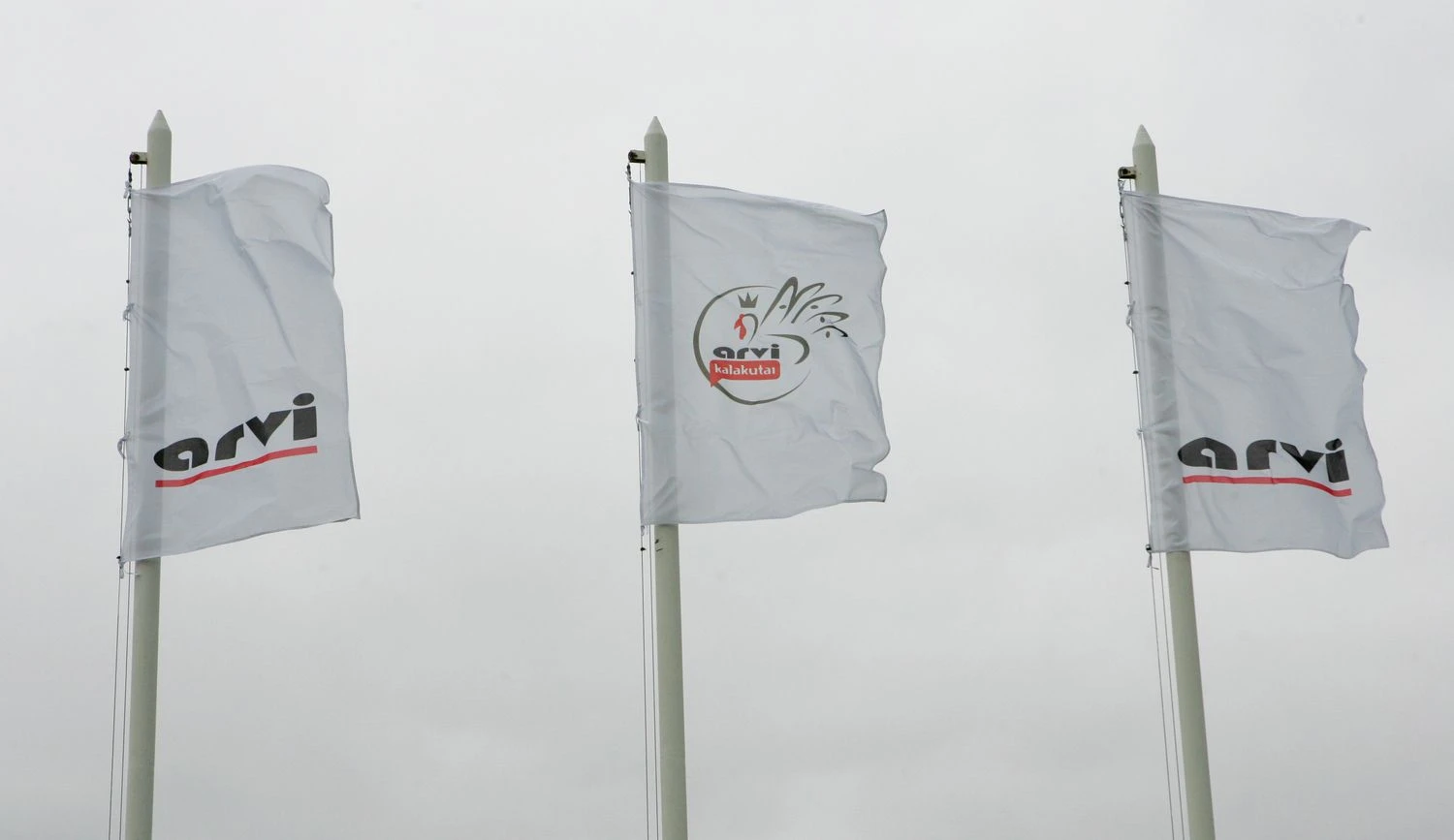 Juditos Grigelytės (VŽ) nuotr.