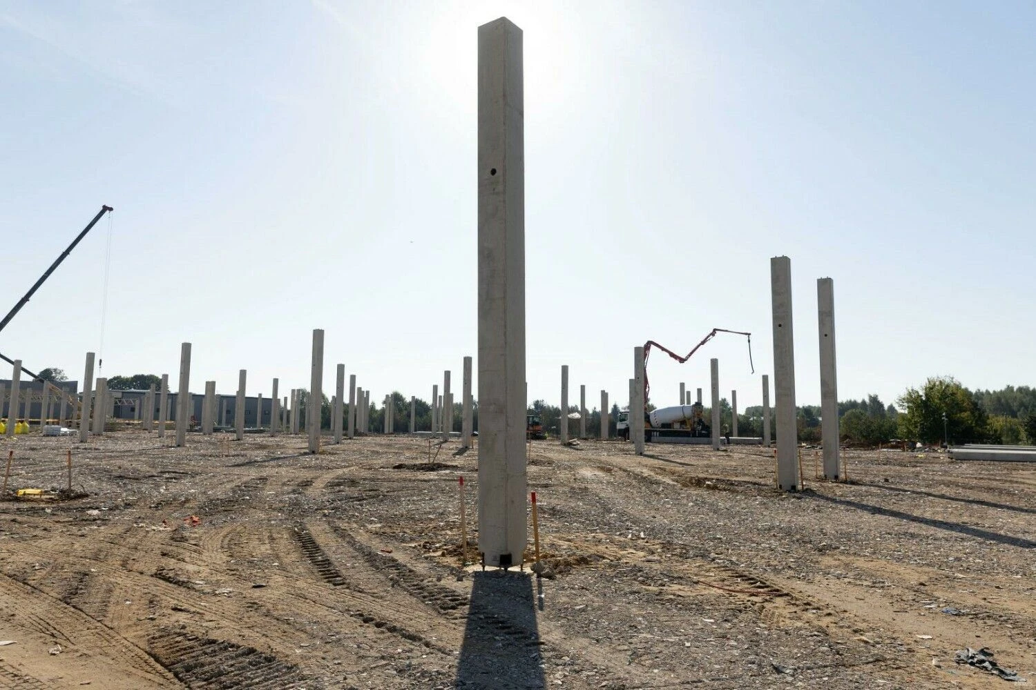 Juditos Grigelytės (VŽ) nuotr.