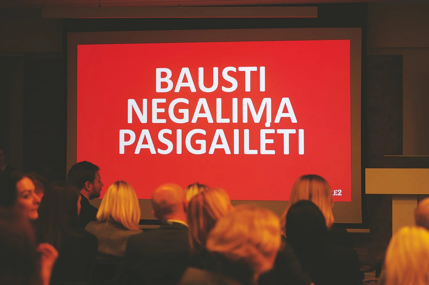 Ryčio Šeškaičio nuotr.
