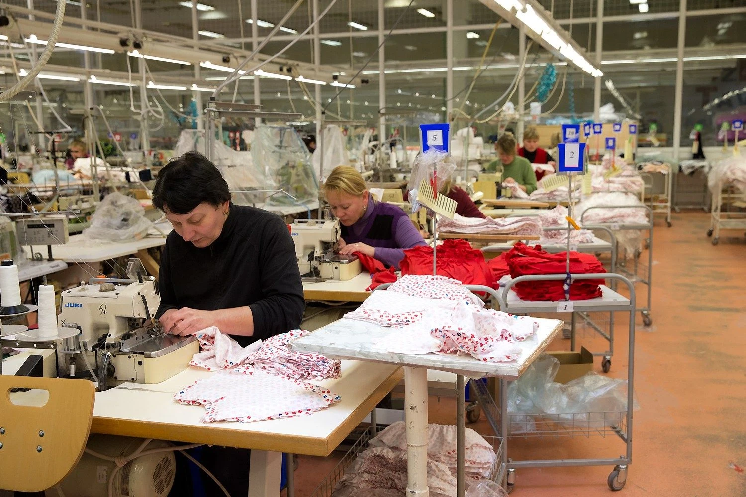 Vladimiro Ivanovo (VŽ) nuotr.