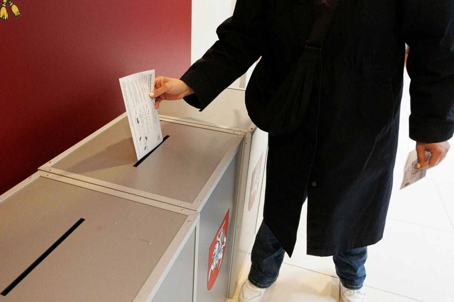 Vladimiro Ivanovo (VŽ) nuotr.