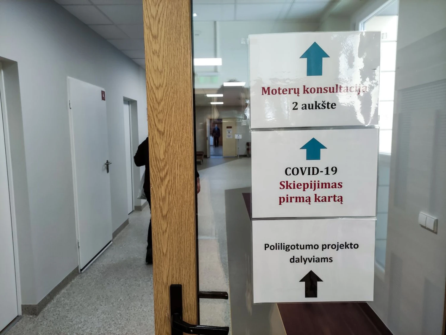 Vladimiro Ivanovo (VŽ) nuotr.