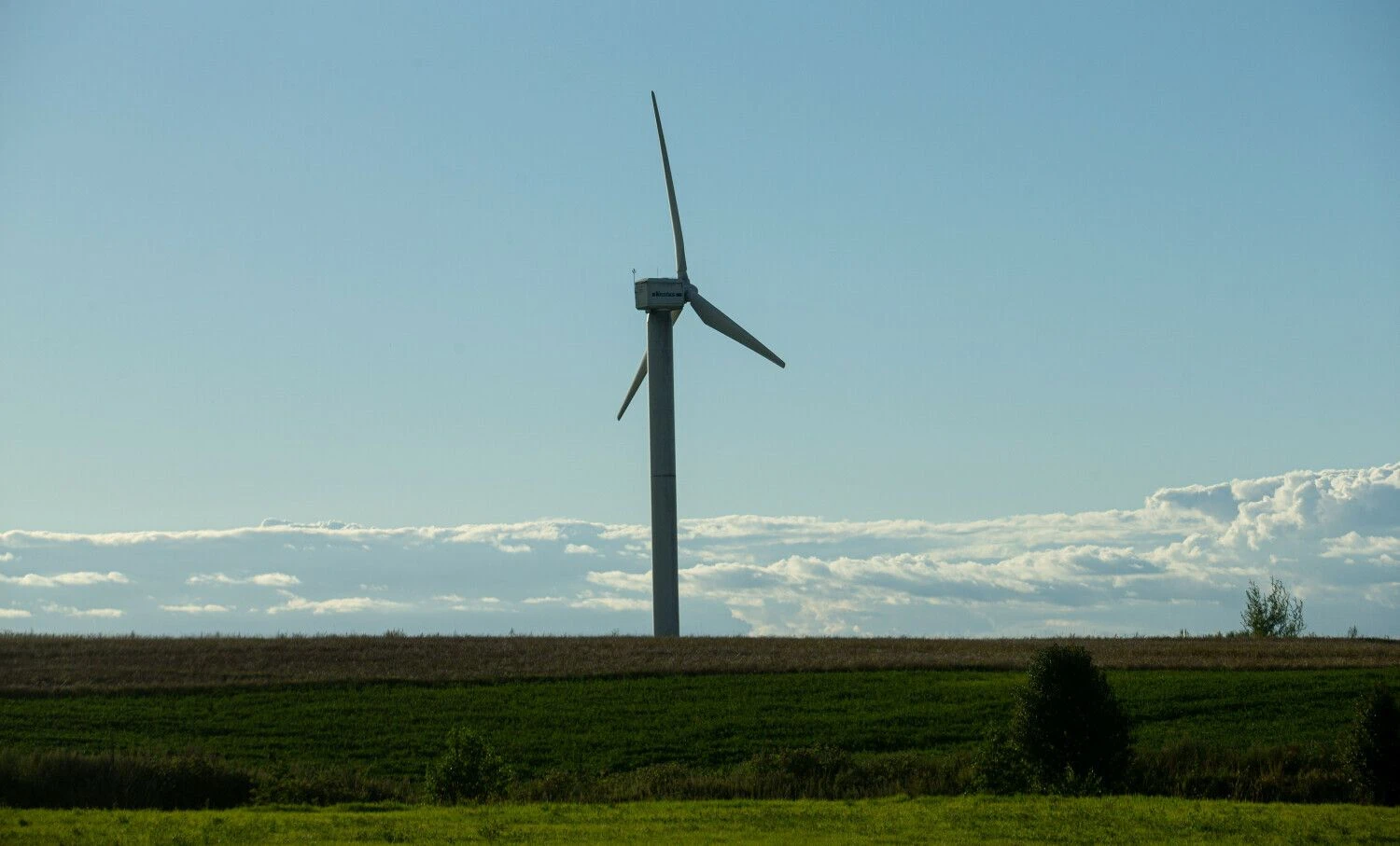 Juditos Grigelytės (VŽ) nuotr.