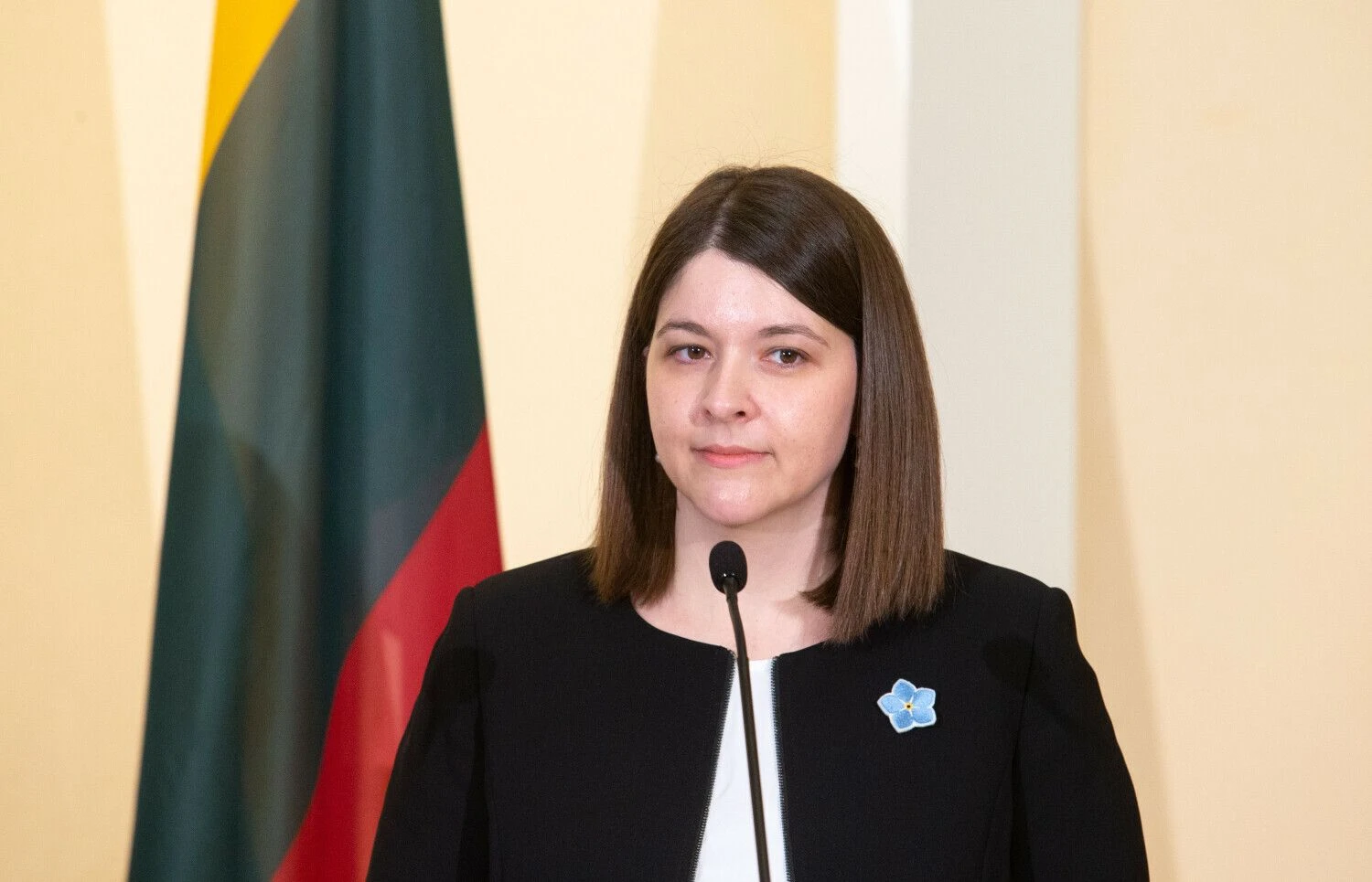 Gintarė Skaistė, finansų ministrė. Juditos Grigelytės (VŽ) nuotr.