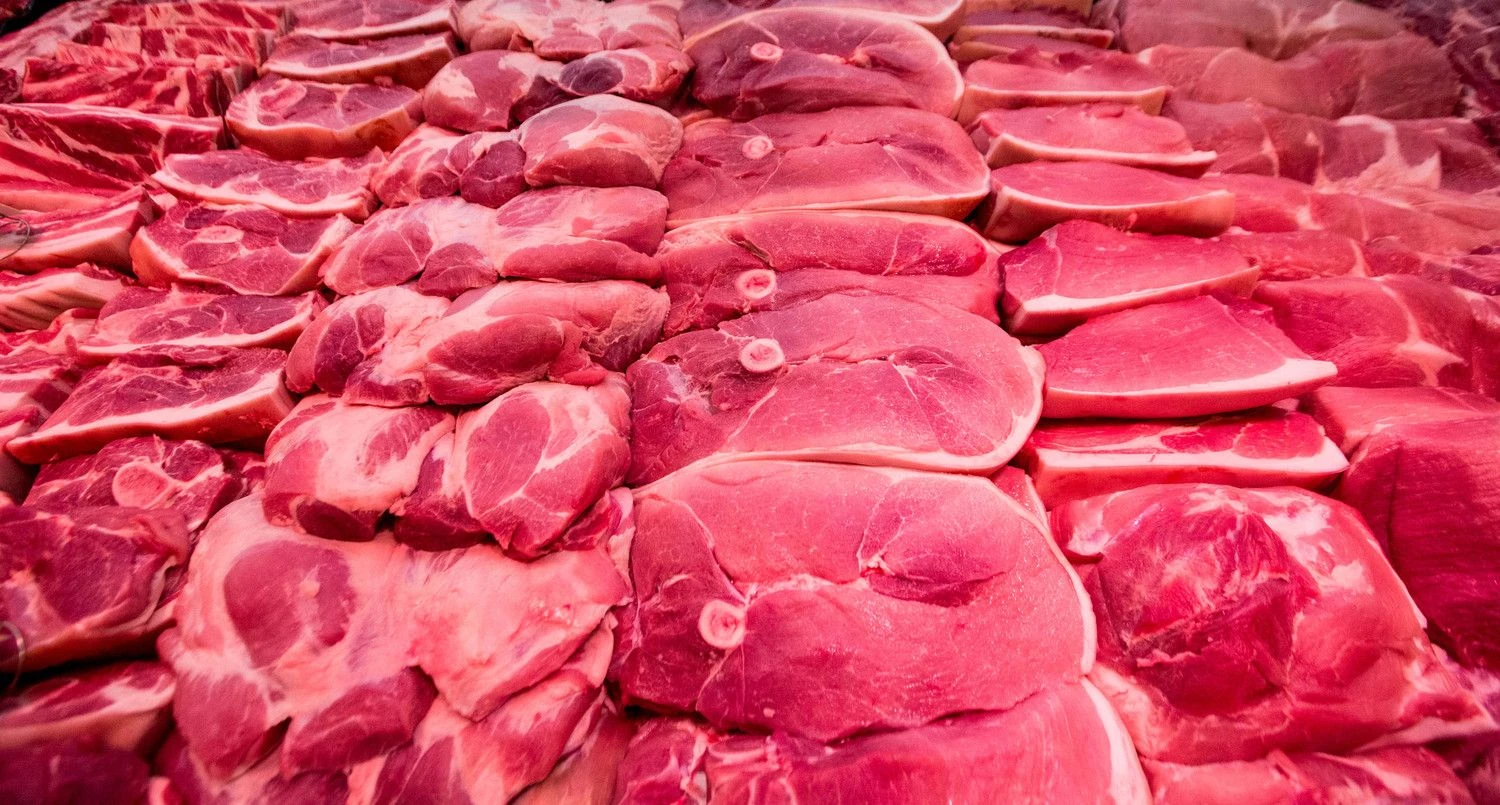 Juditos Grigelytės (VŽ) nuotr. 