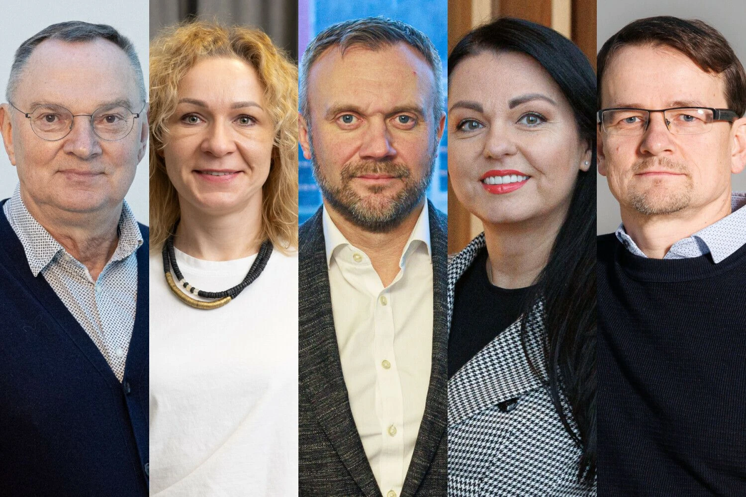 S. Paulauskas, D. Noreikienė, K. Pikūnas, G. Žilinskienė, G. Staškūnas (iš kairės). VŽ montažas