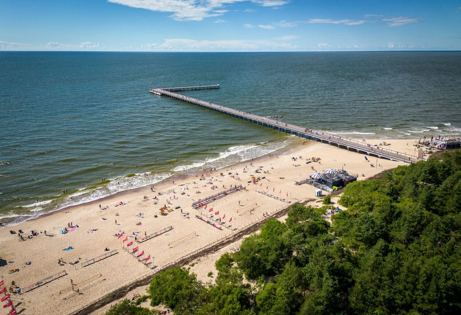 Eriko Ovčarenko (BNS) nuotr.