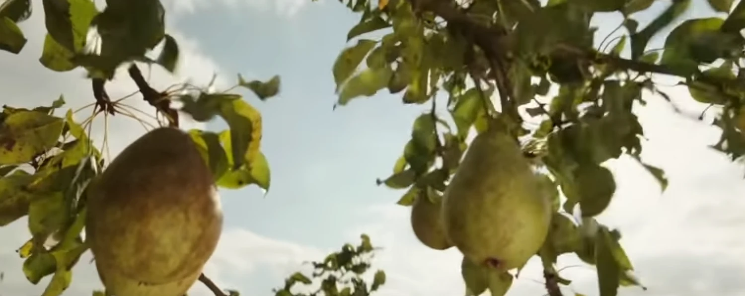 Stop kadras reklamoje.