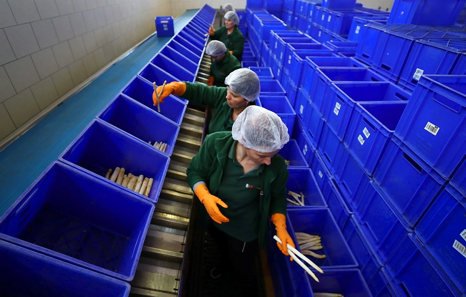 Kai Pfaffenbacho („Reuters“ / „Scanpix“) nuotr.
