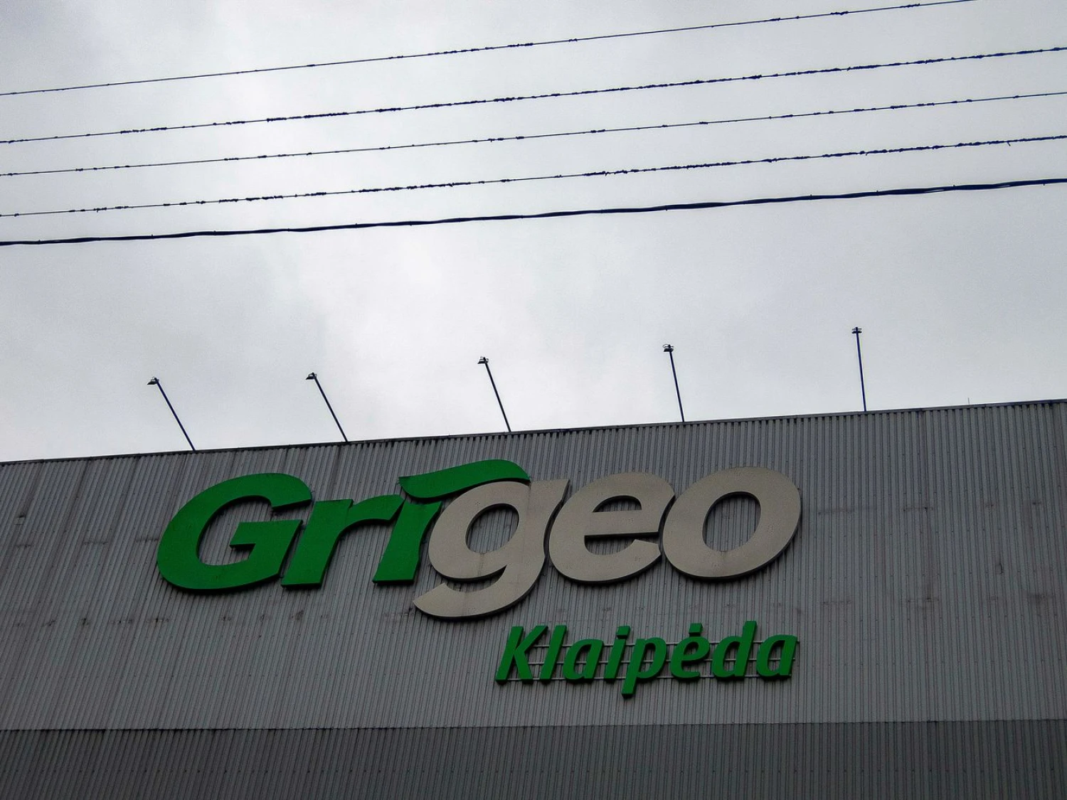 Algimanto Kalvaičio nuotr.