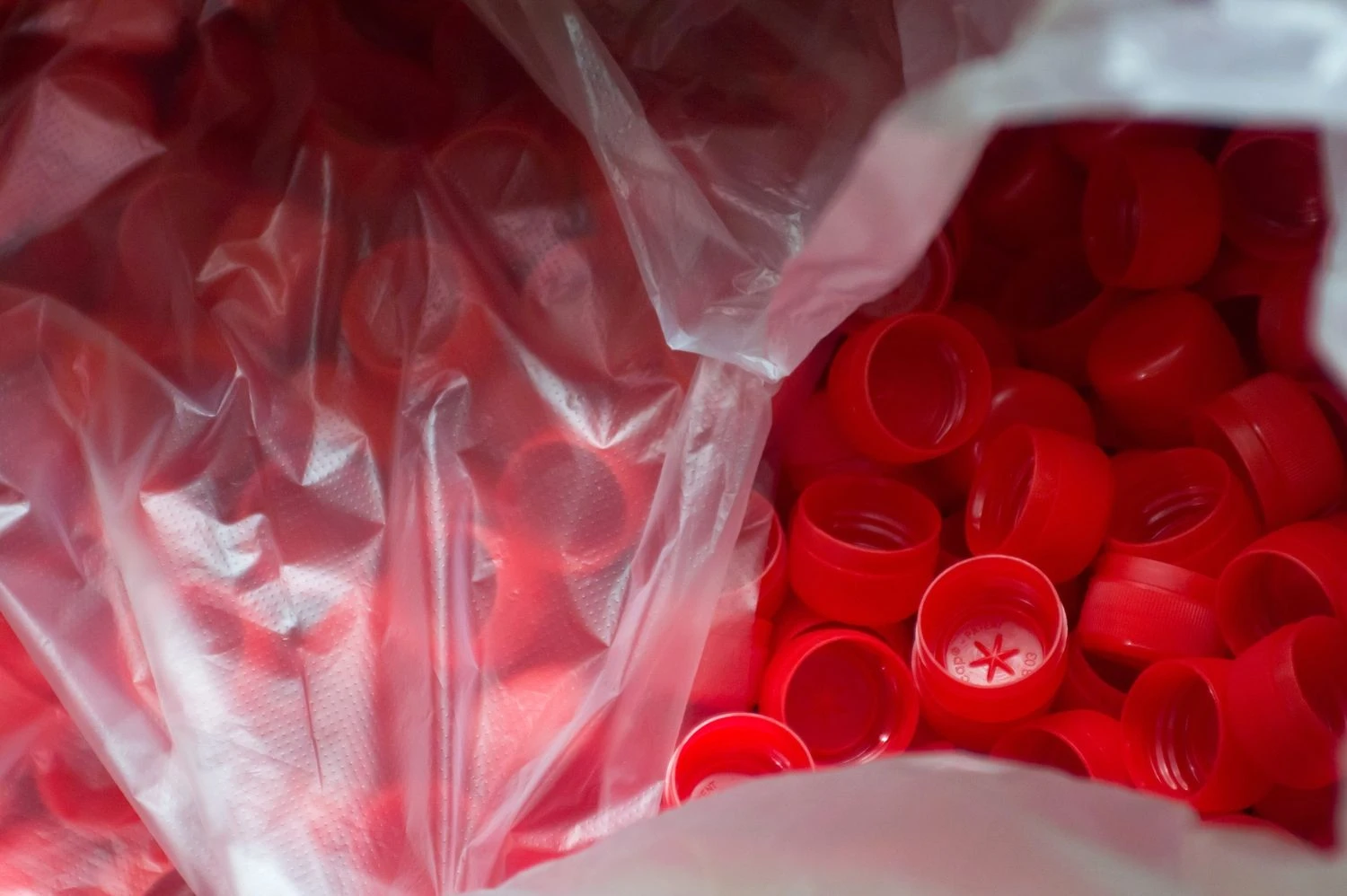 Algimanto Kalvaičio nuotr.