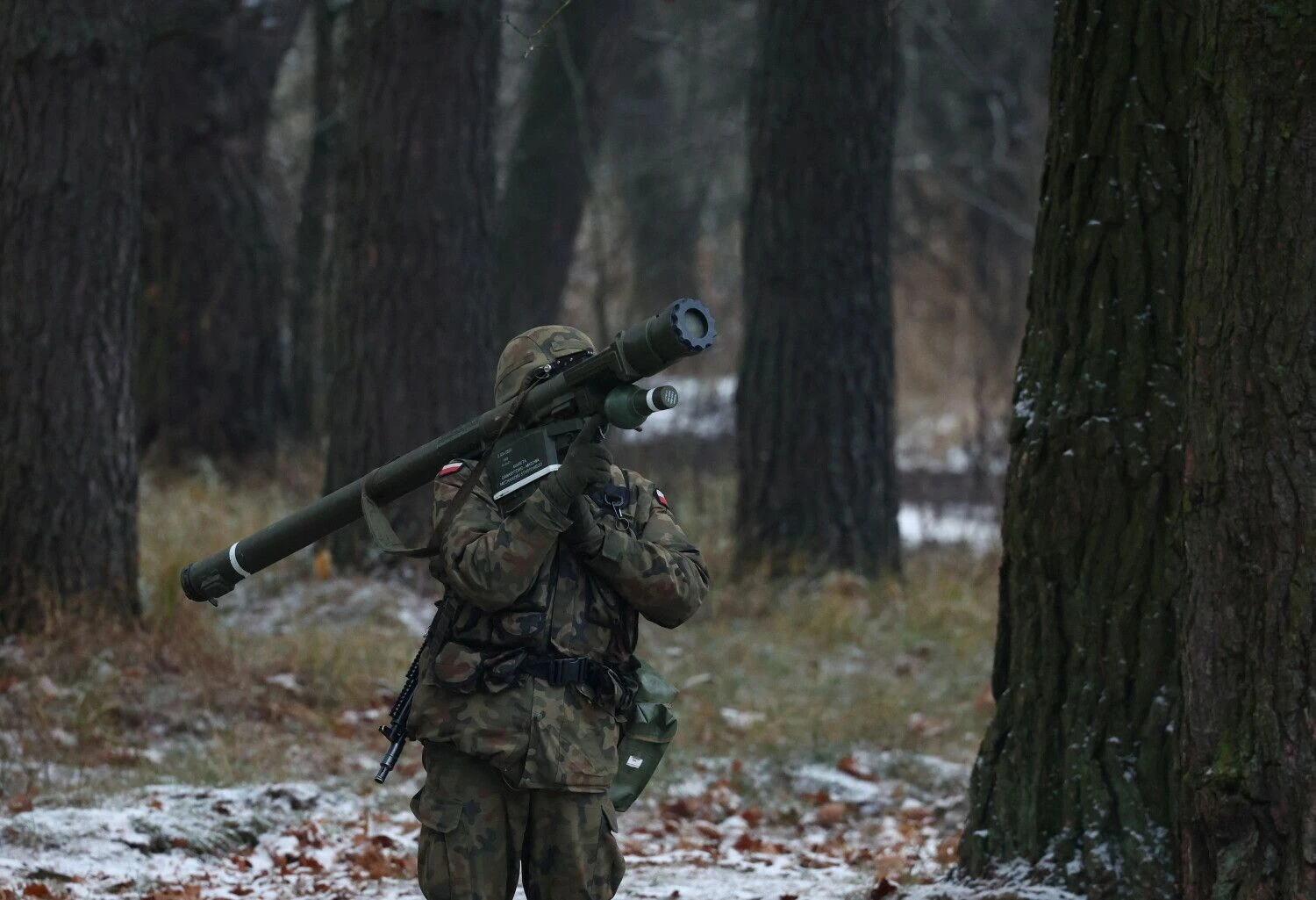 Oro gynybos sistema „Piorun“. Kacpero Pempelo („Reuters“/„Scanpix“) nuotr.
