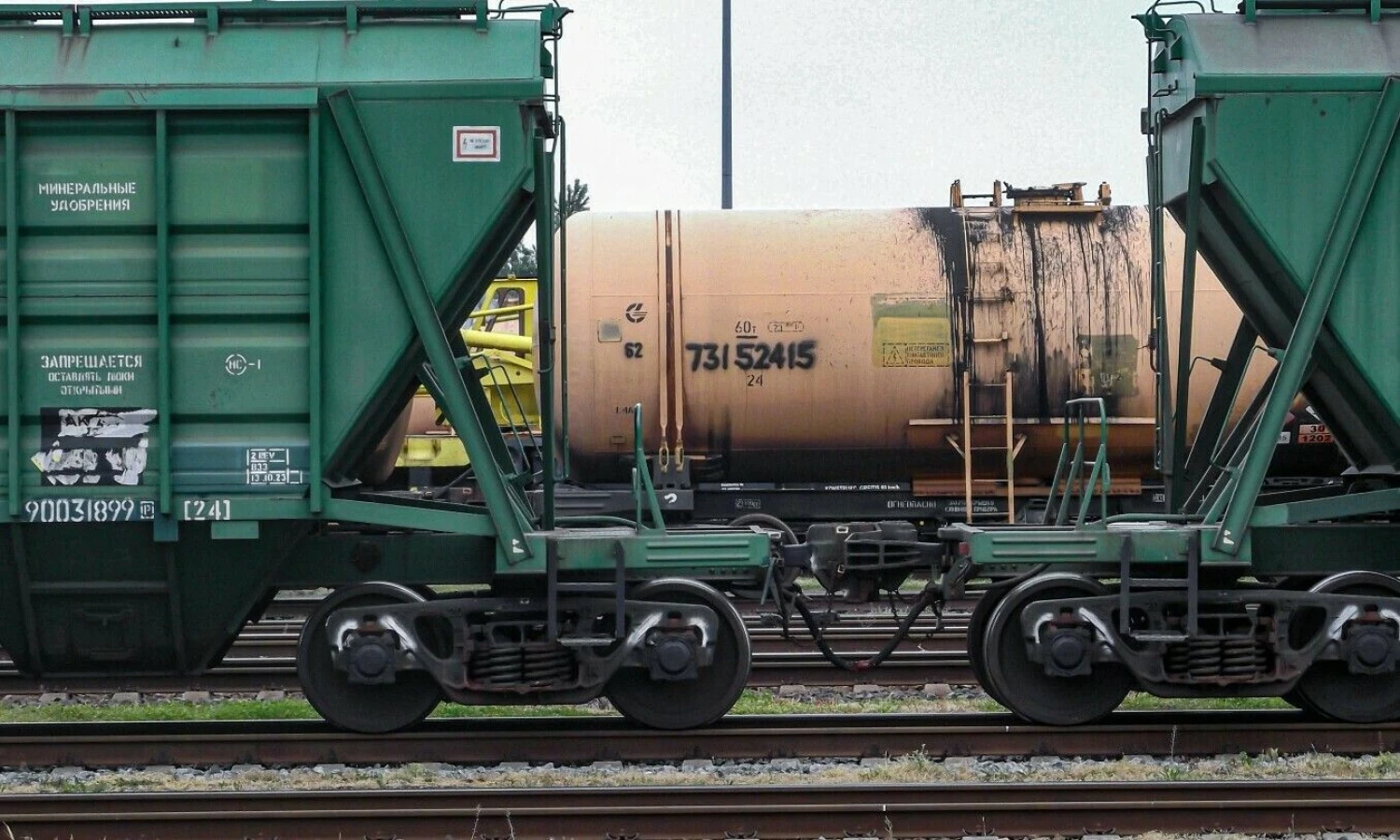 Algimanto Kalvaičio nuotr.