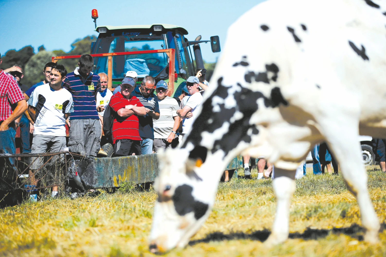 Pieno gamyba ES šiemet ūgtels, tačiau kur kas menkiau nei ankstesniais metais. Stephane Mahe („Reuters“ / „Scanpix“) nuotr.