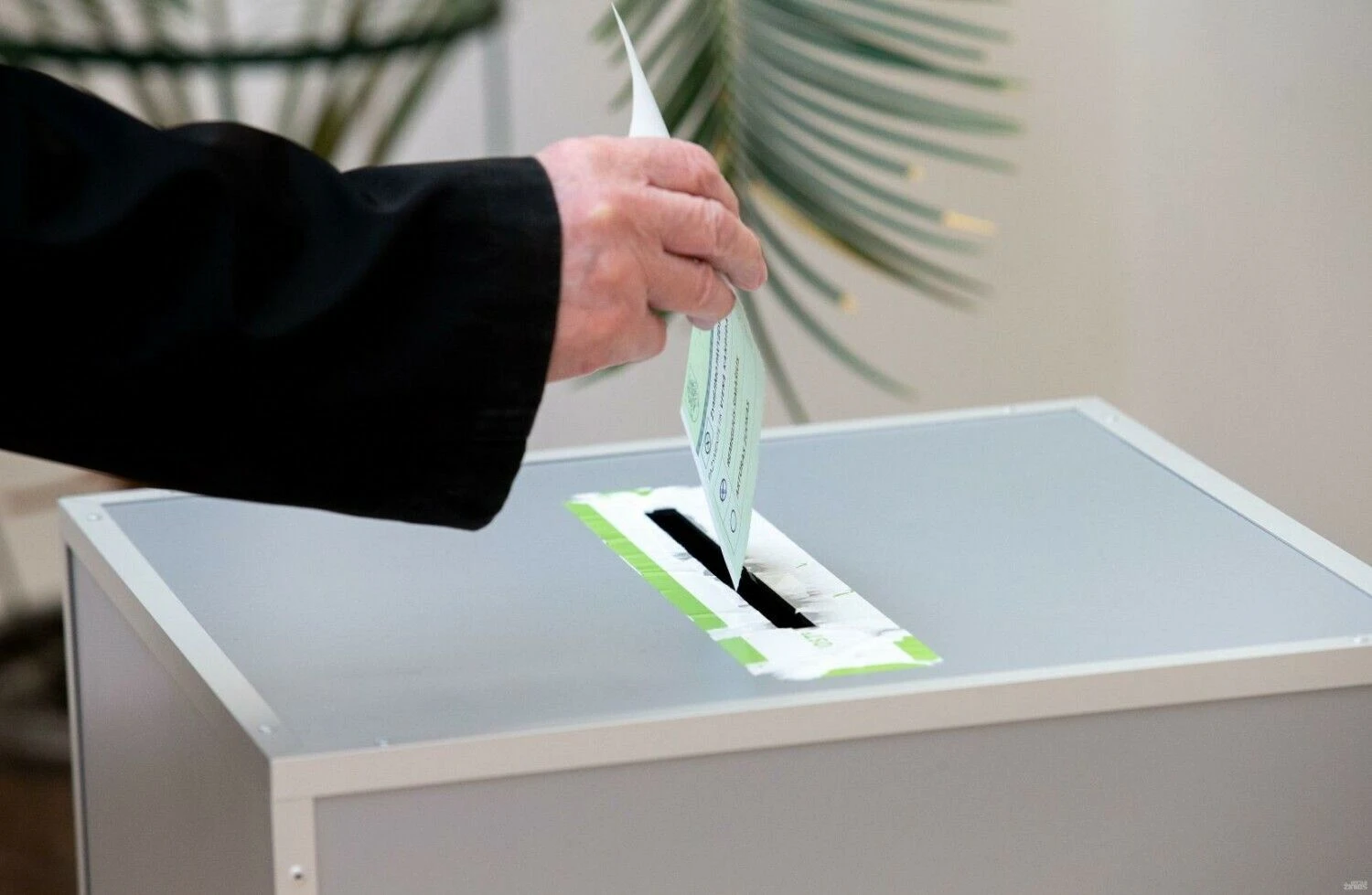 Juditos Grigelytės (VŽ) nuotr.