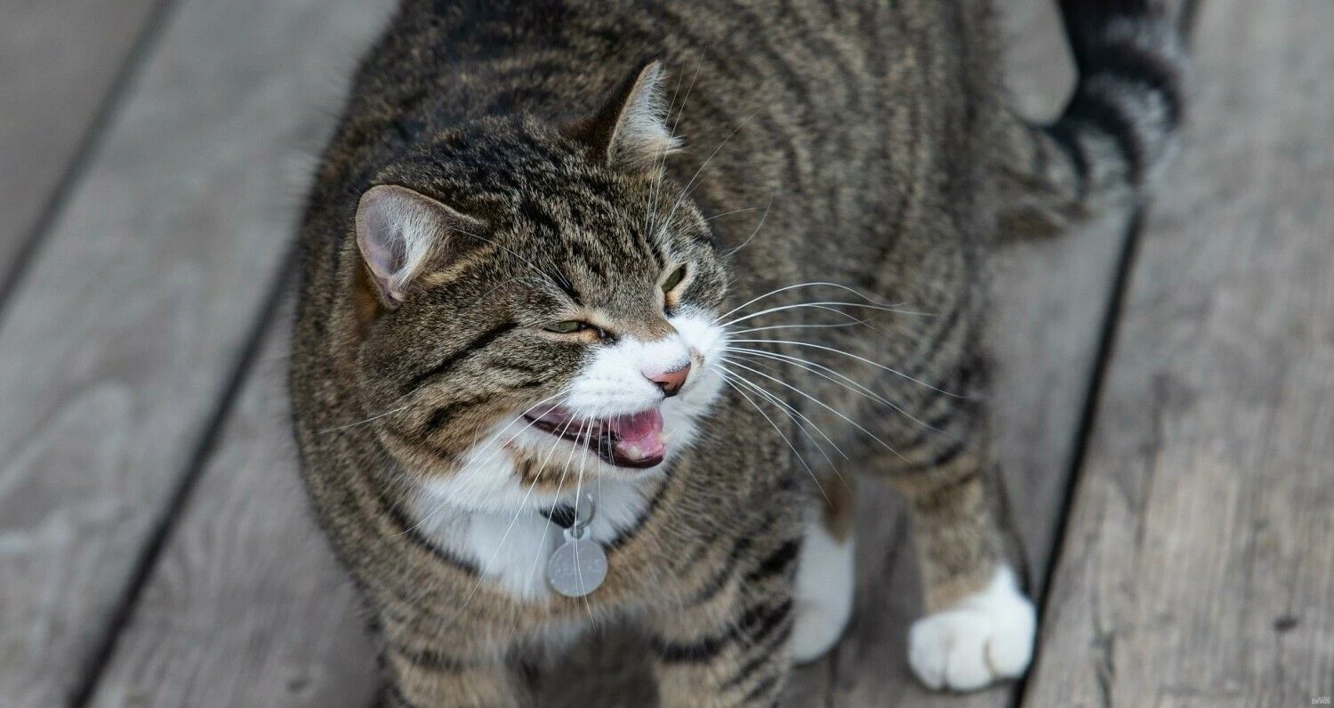 Juditos Grigelytės (VŽ) nuotr.