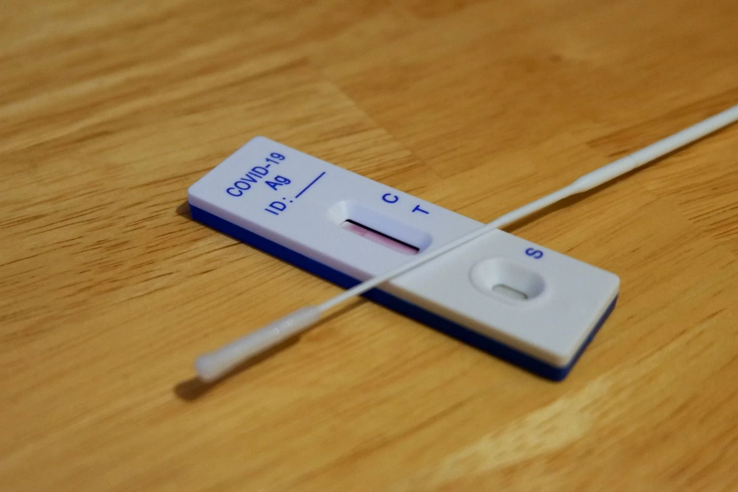 Juditos Grigelytės (VŽ) nuotr.