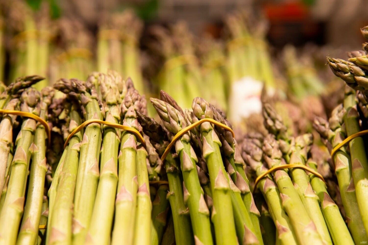 Juditos Grigelytės (VŽ) nuotr.