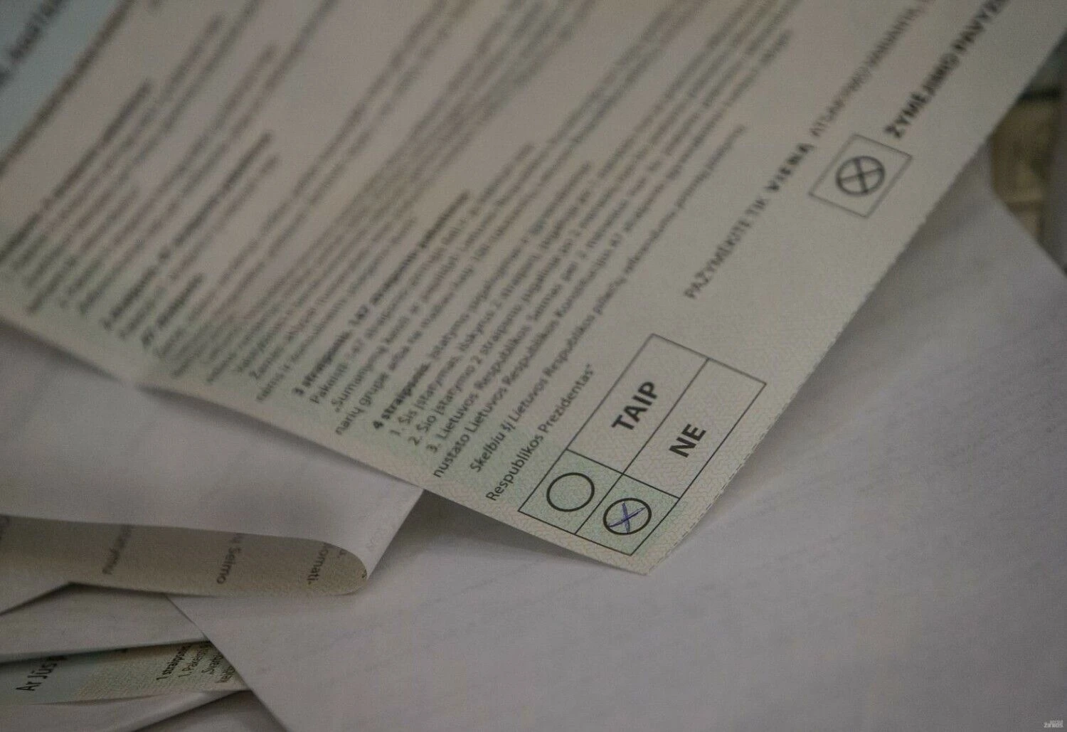 Bent kelis kartus Lietuvoje surengti nesėkmingi referendumai dėl Seimo narių skaičiaus mažinimo ir draudimo parduoti žemę užsieniečiams. Juditos Grigelytės (VŽ) nuotr.