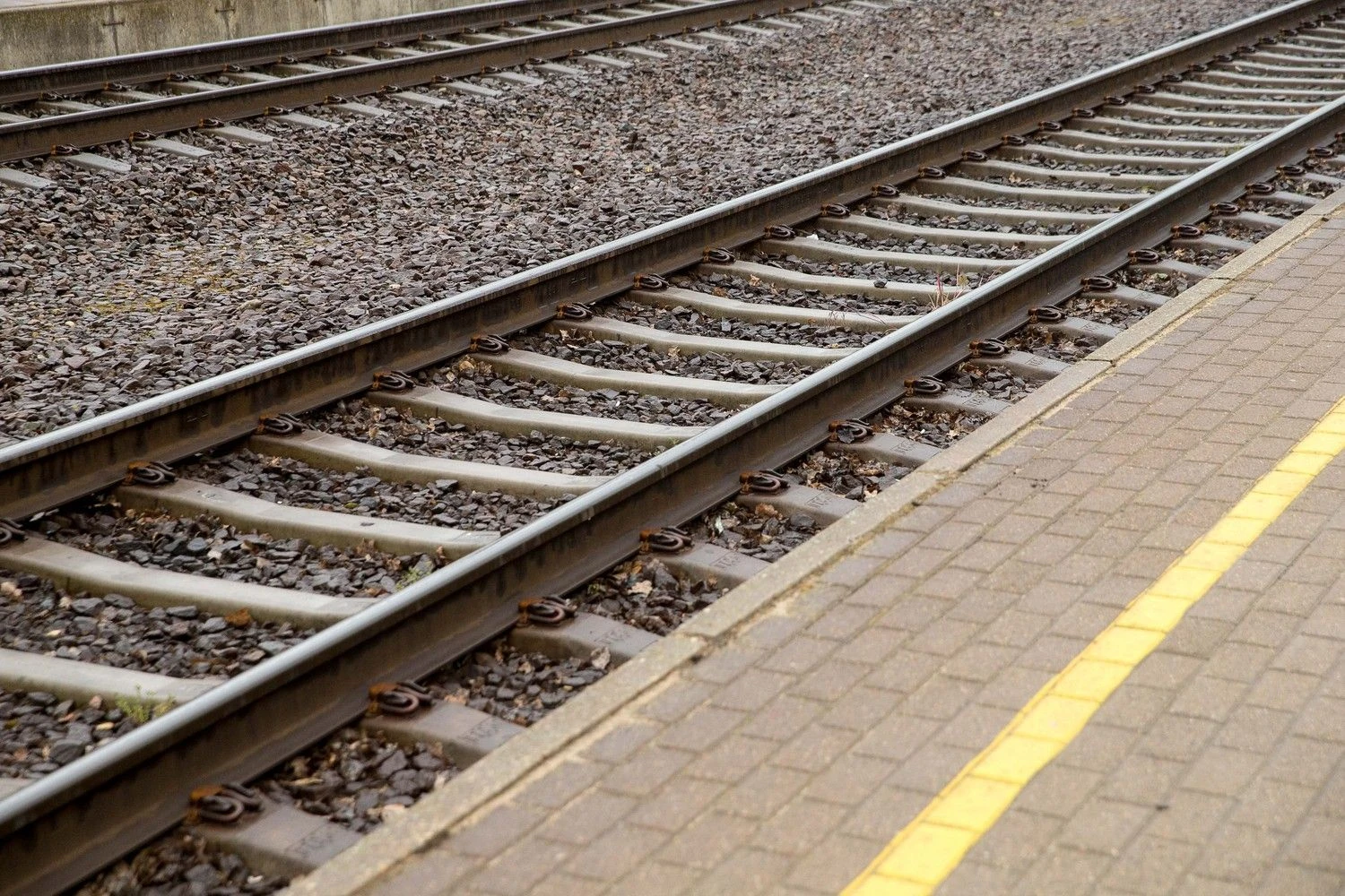 Vladimiro Ivanovo (VŽ) nuotr. 
 