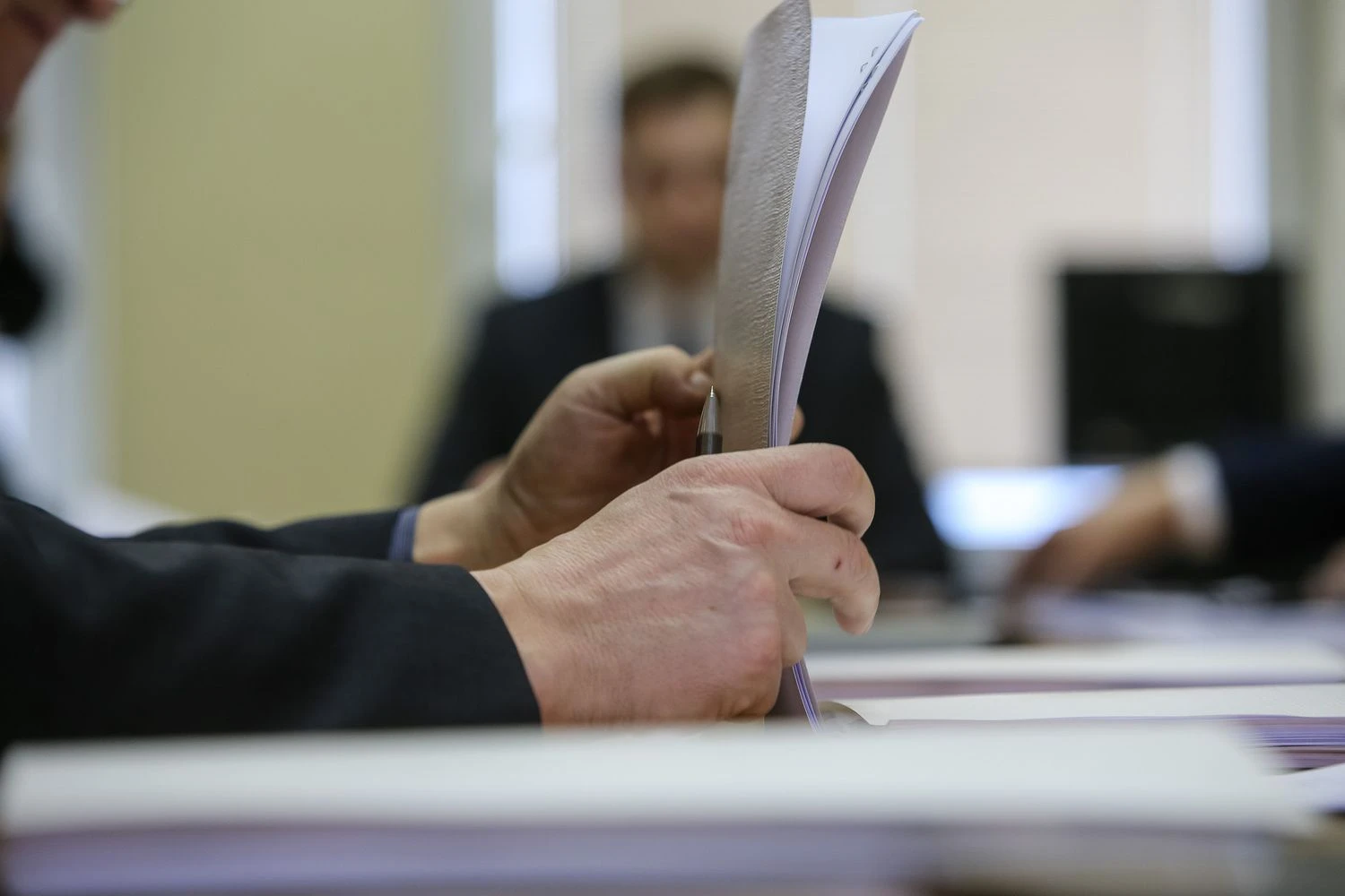 Vladimiro Ivanovo (VŽ) nuotr.