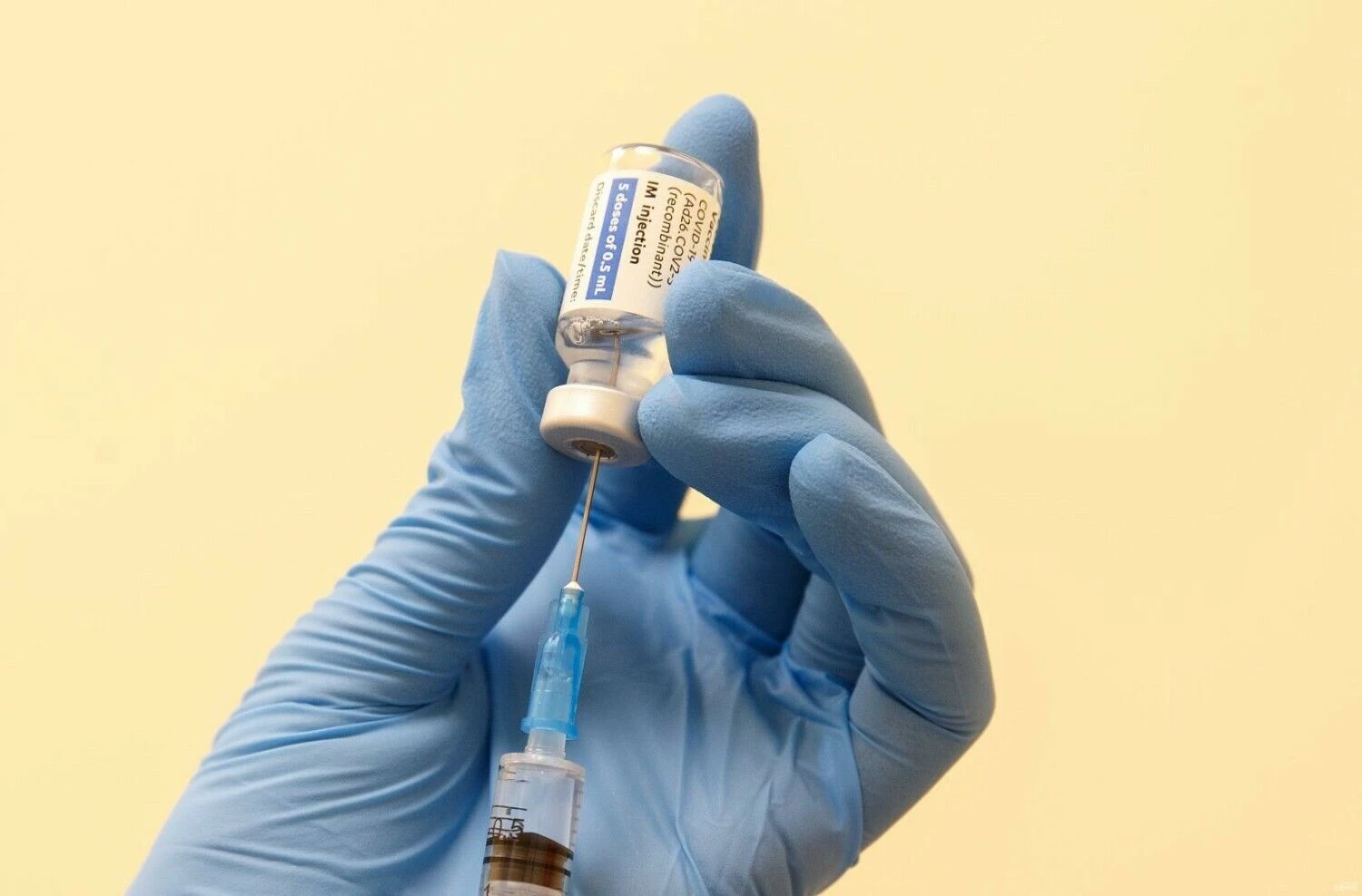 Juditos Grigelytės (VŽ) nuotr.