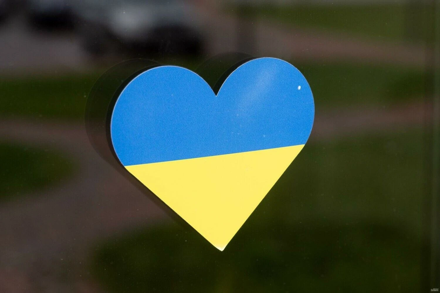 Širdelė. Juditos Grigelytės (VŽ) nuotr.