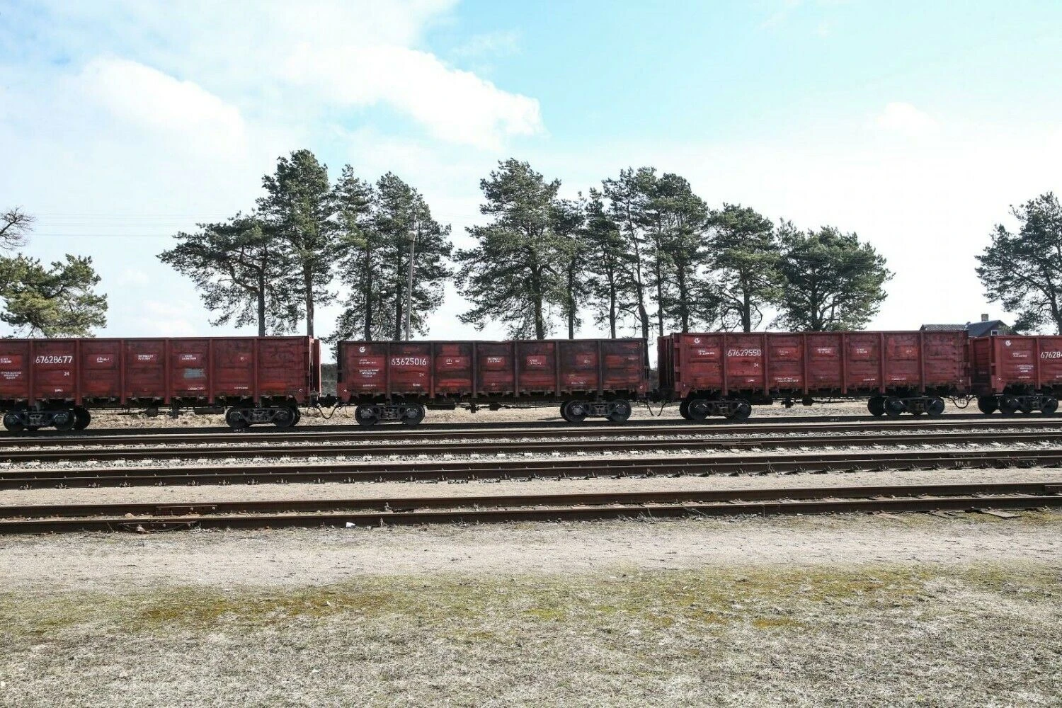 Vladimiro Ivanovo (VŽ) nuotr.