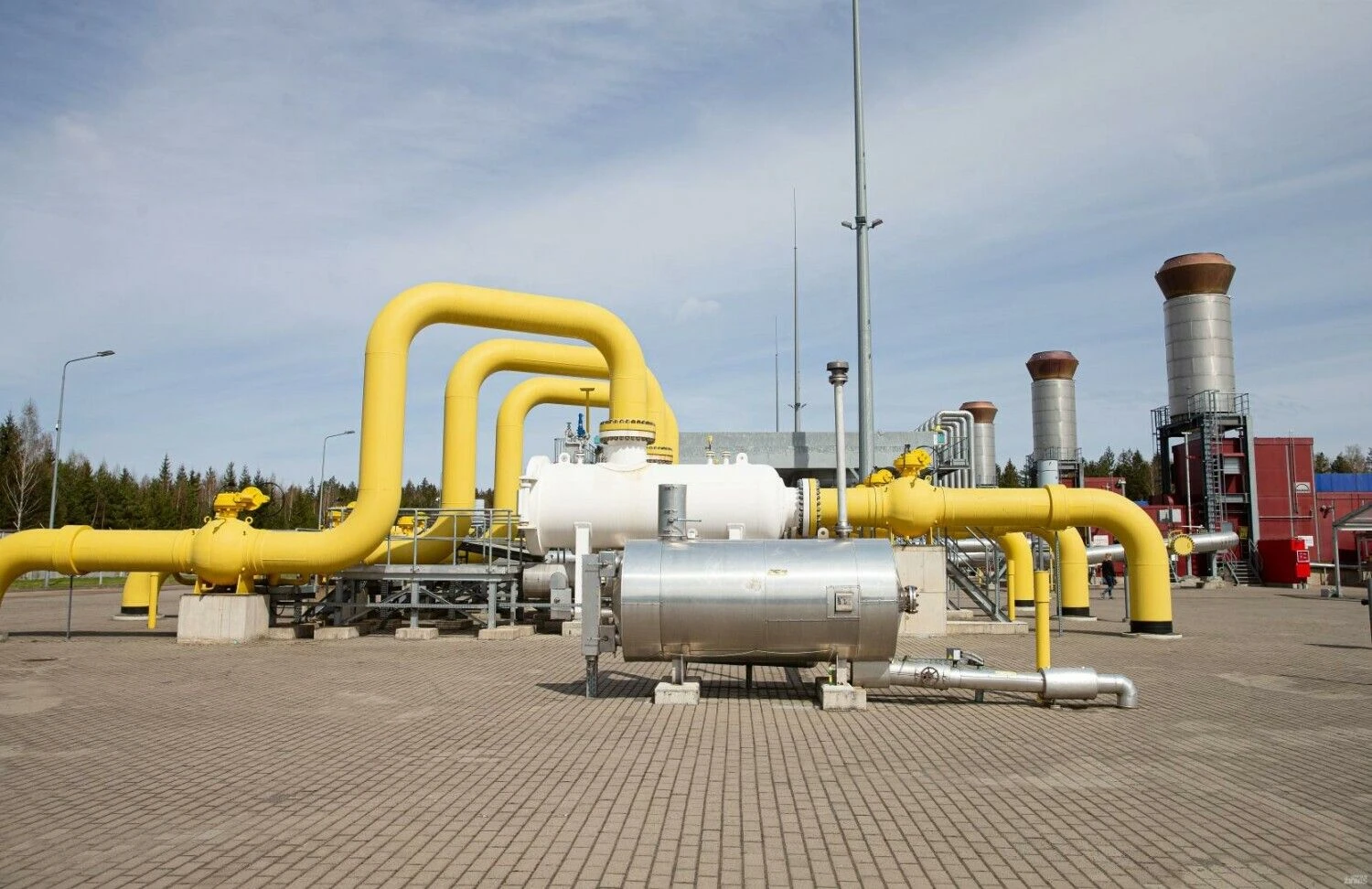 Juditos Grigelytės (VŽ) nuotr.