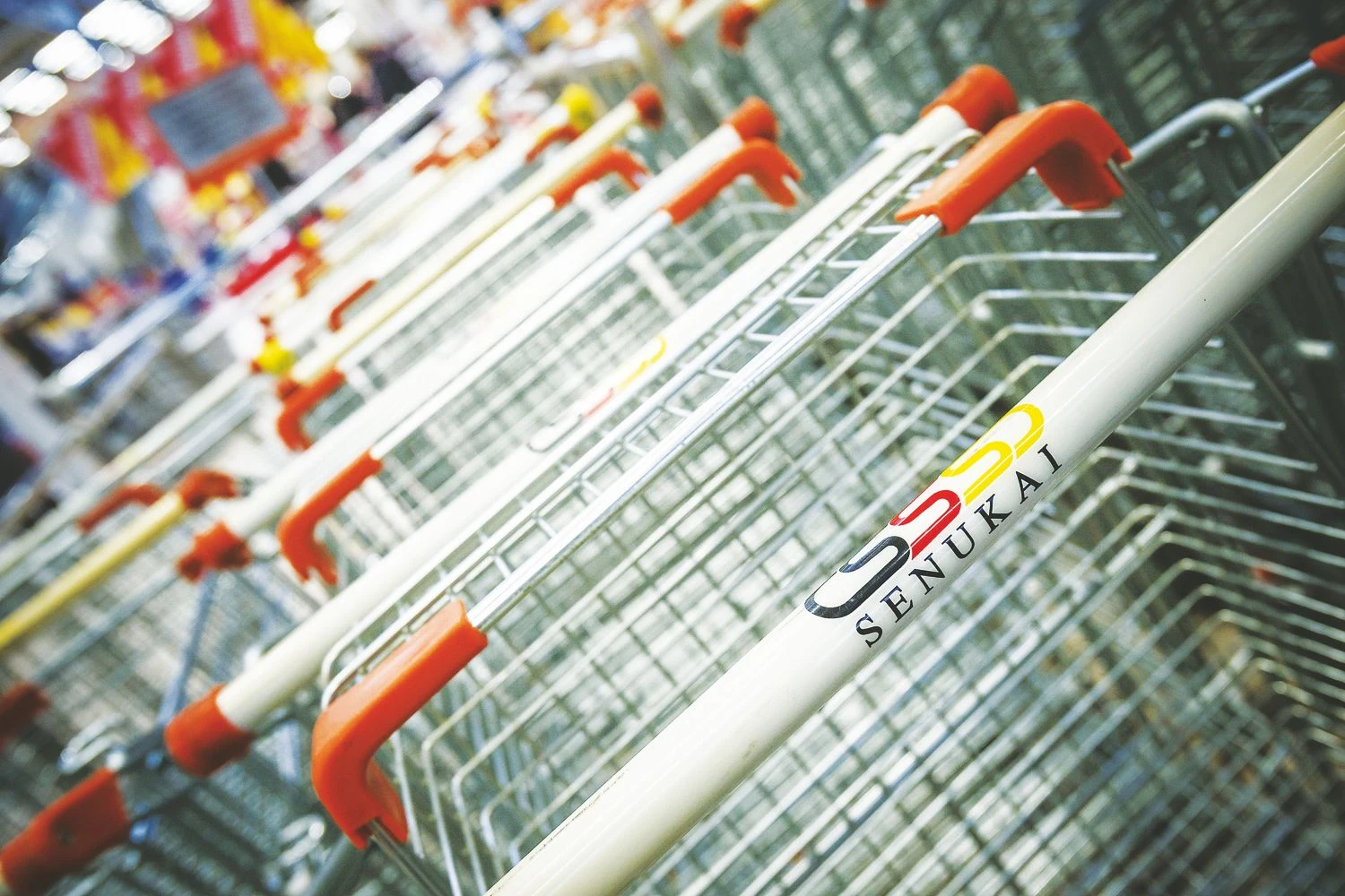 Vladimiro Ivanovo (VŽ) nuotr.