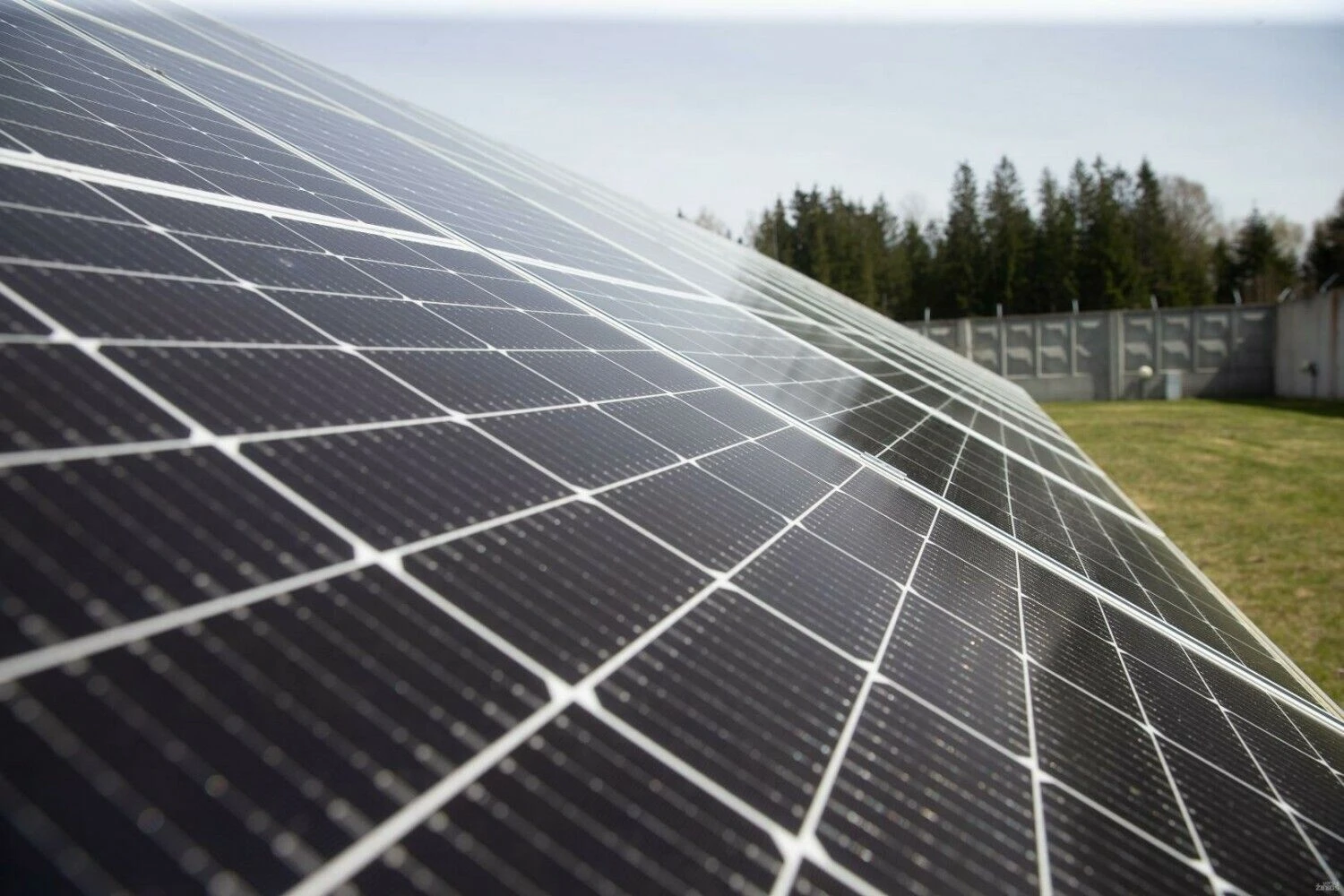 Juditos Grigelytės (VŽ) nuotr.