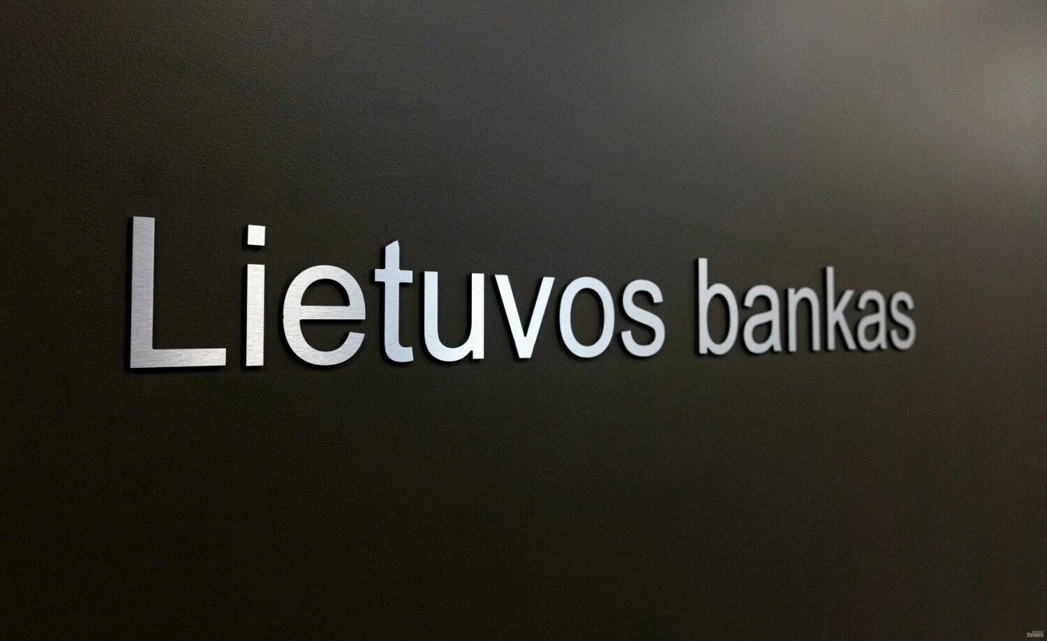 Juditos Grigelytės (VŽ) nuotr.