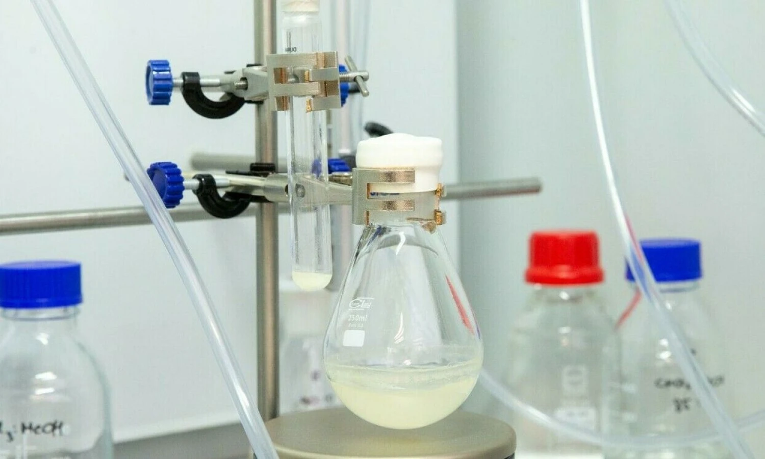 Juditos Grigelytės (VŽ) nuotr.