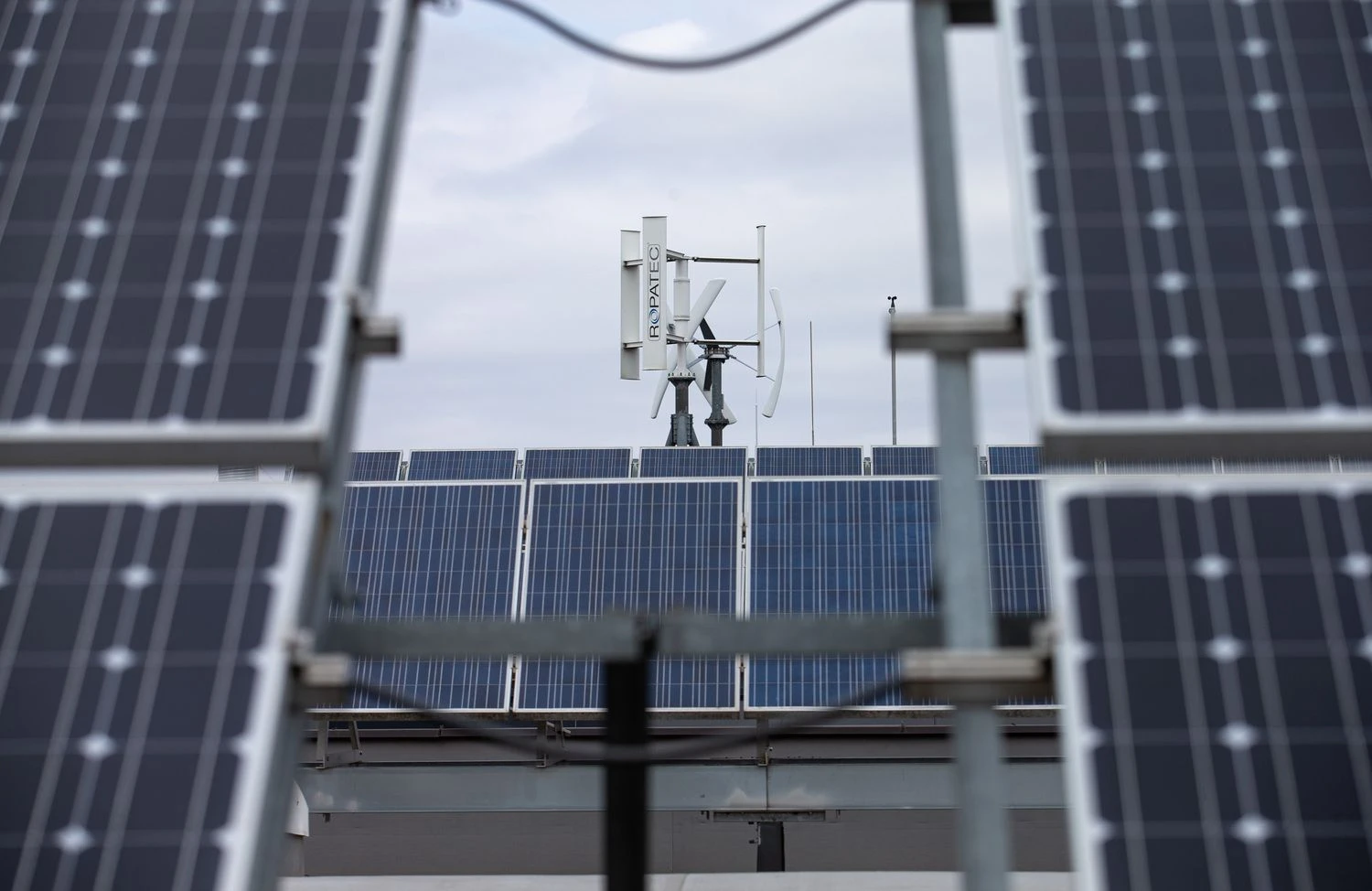 Juditos Grigelytės (VŽ) nuotr.