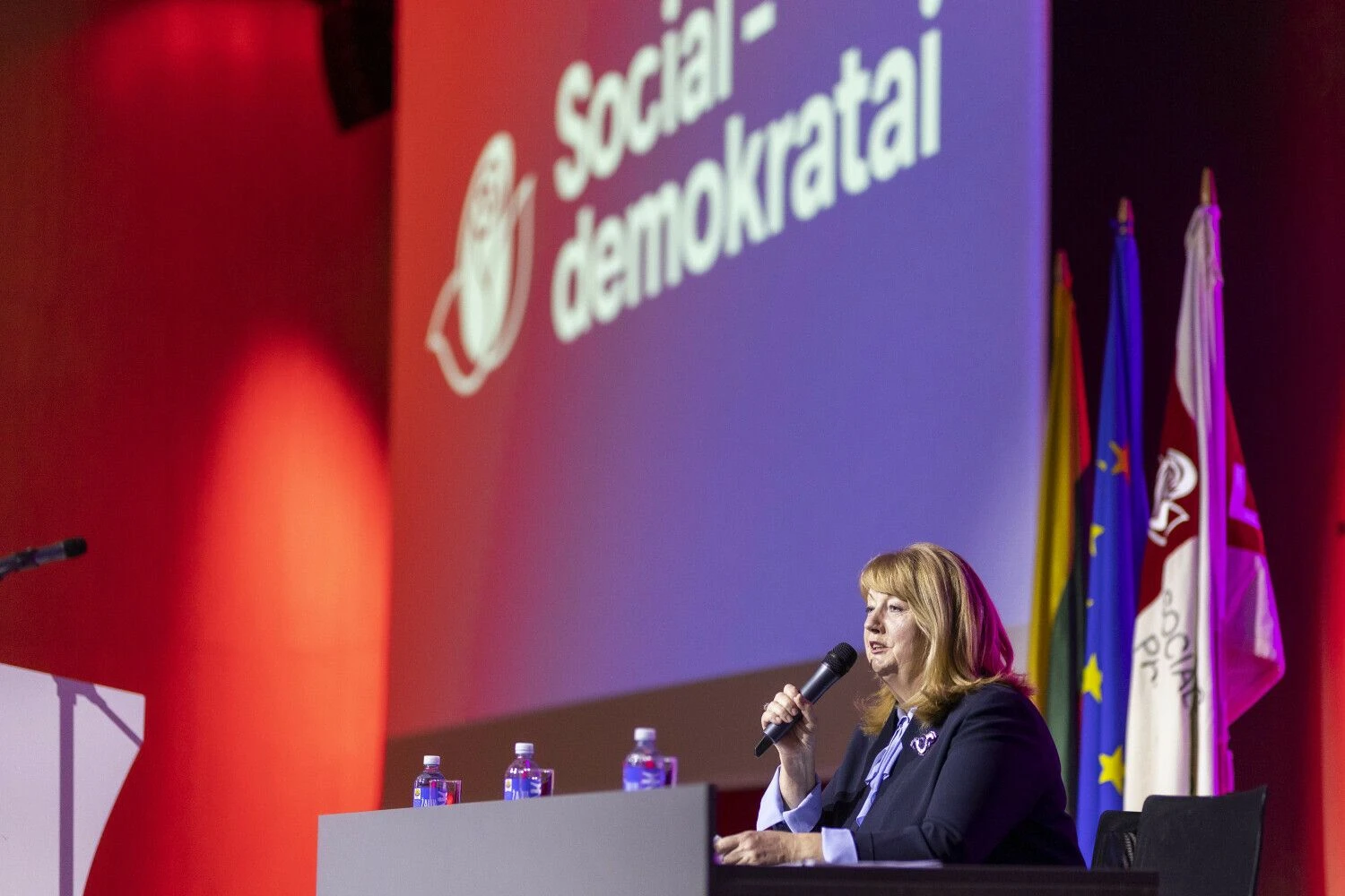 Socialdemokratai išlaukė bene paskutinio prezidento rinkimų traukinio ir tik dabar svarstys, ar juose kelti kandidatą. Irmanto Gelūno (BNS) nuotr.