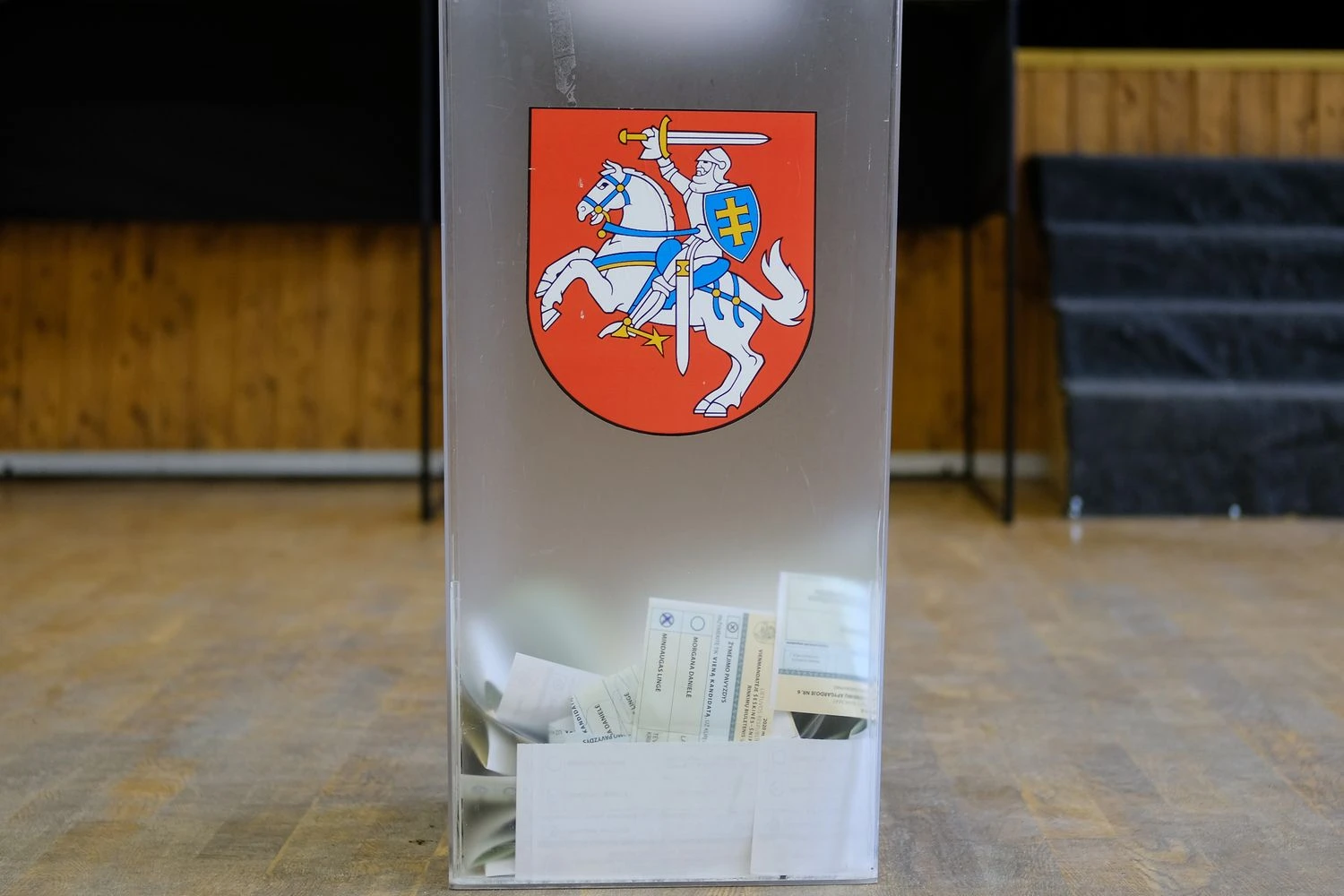 Vladimiro Ivanovo (VŽ) nuotr.