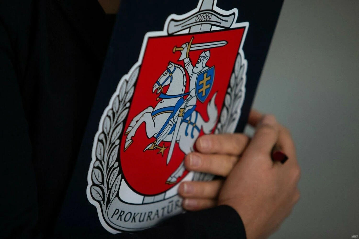 Vladimiro Ivanovo (VŽ) nuotr.