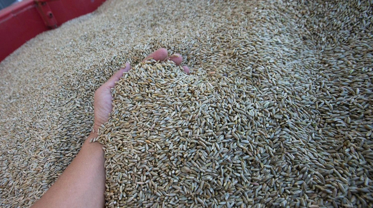 Juditos Grigelytės (VŽ) nuotr.