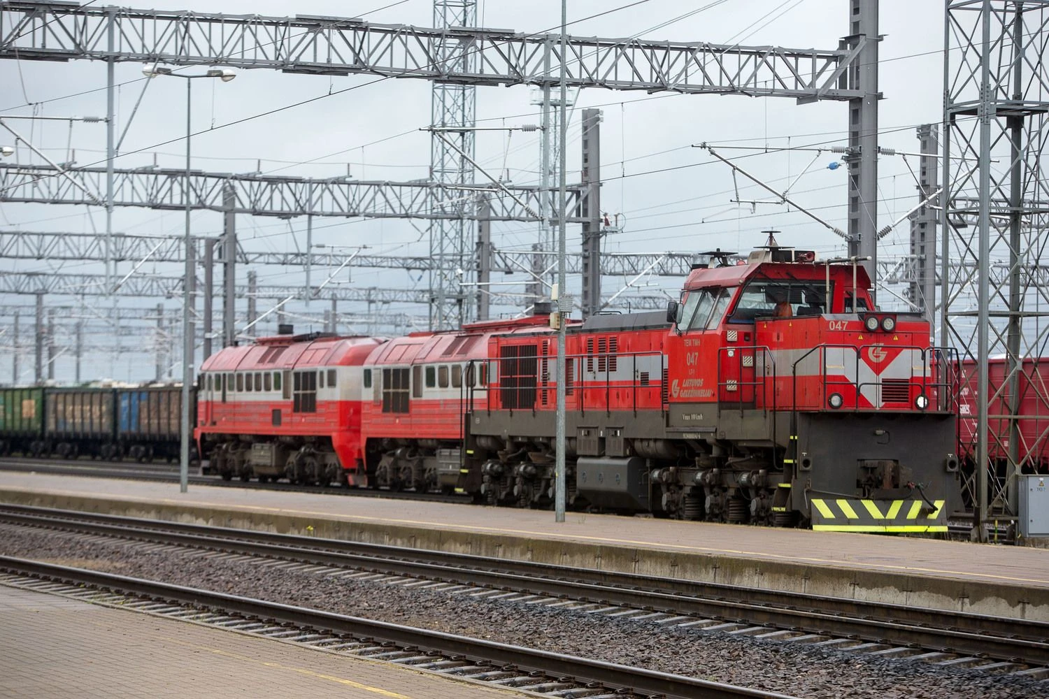 Vladimiro Ivanovo (VŽ) nuotr. 
 