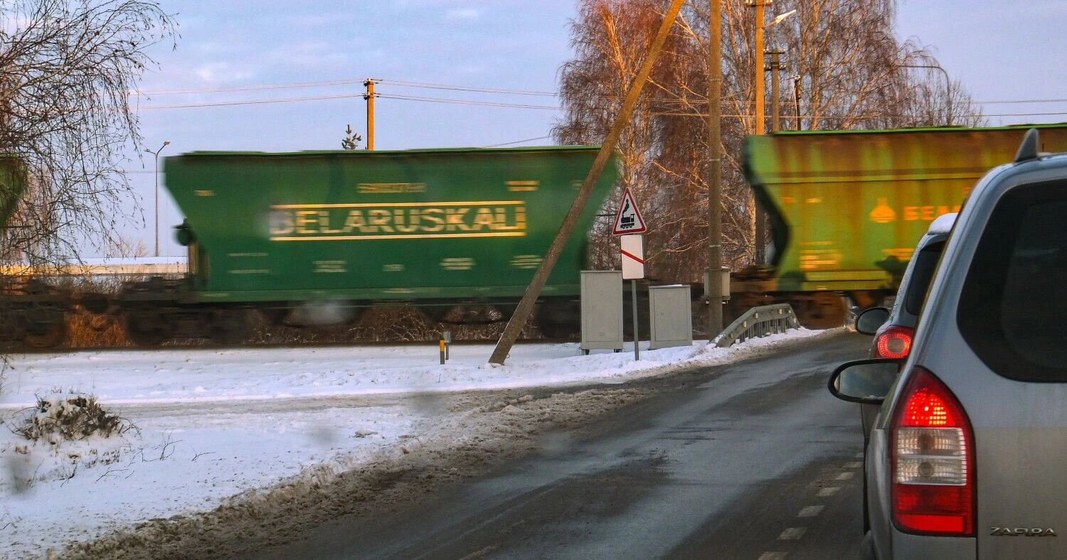 Algimanto Kalvaičio nuotr.