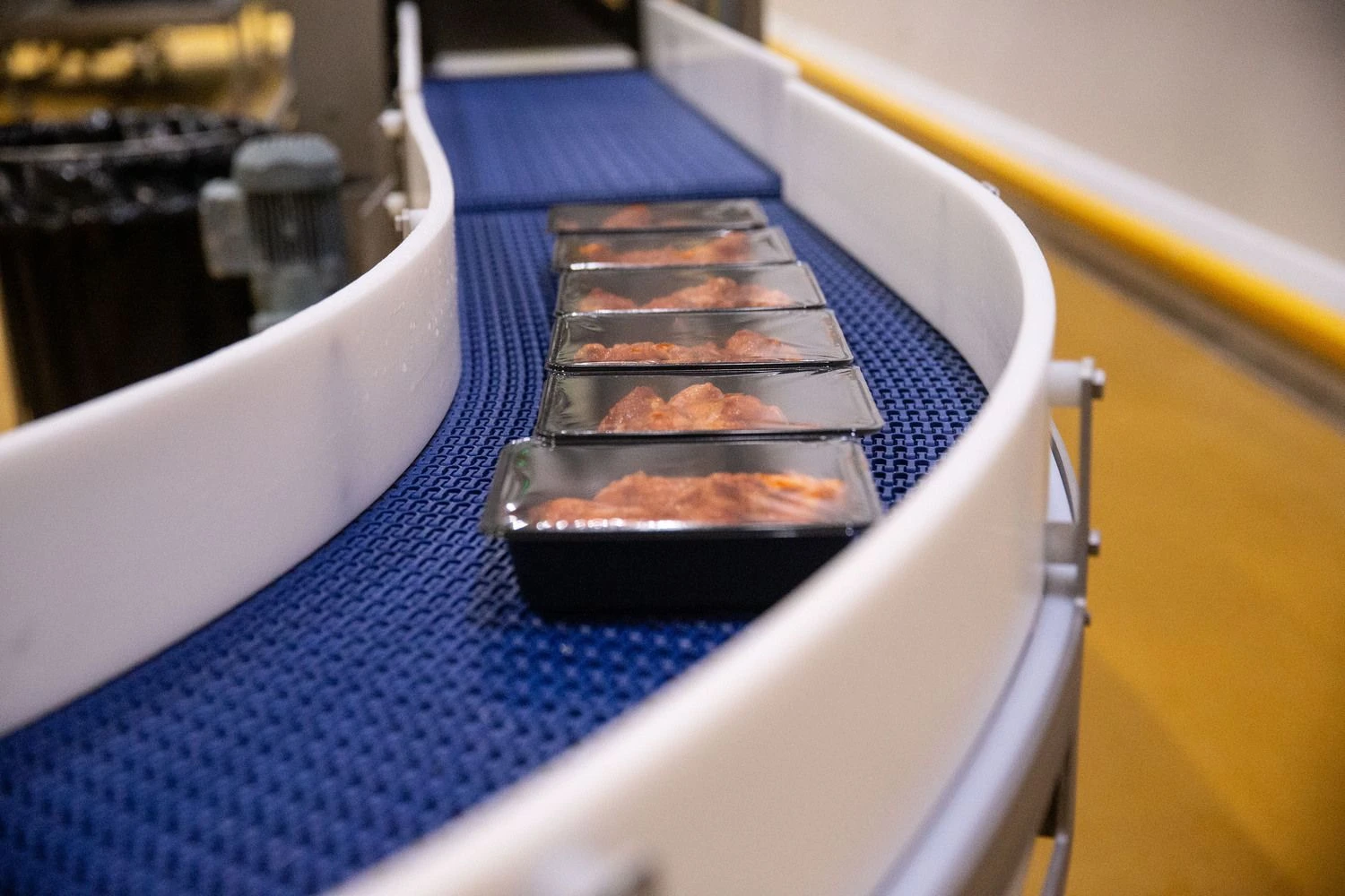 Vladimiro Ivanovo (VŽ) nuotr.